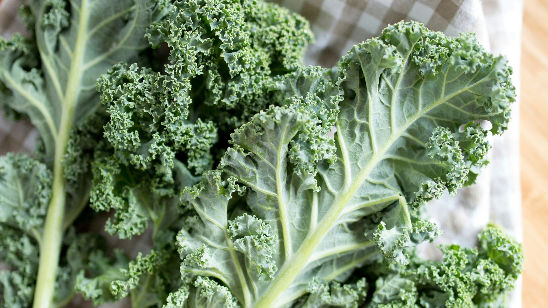 green leaf vegetable