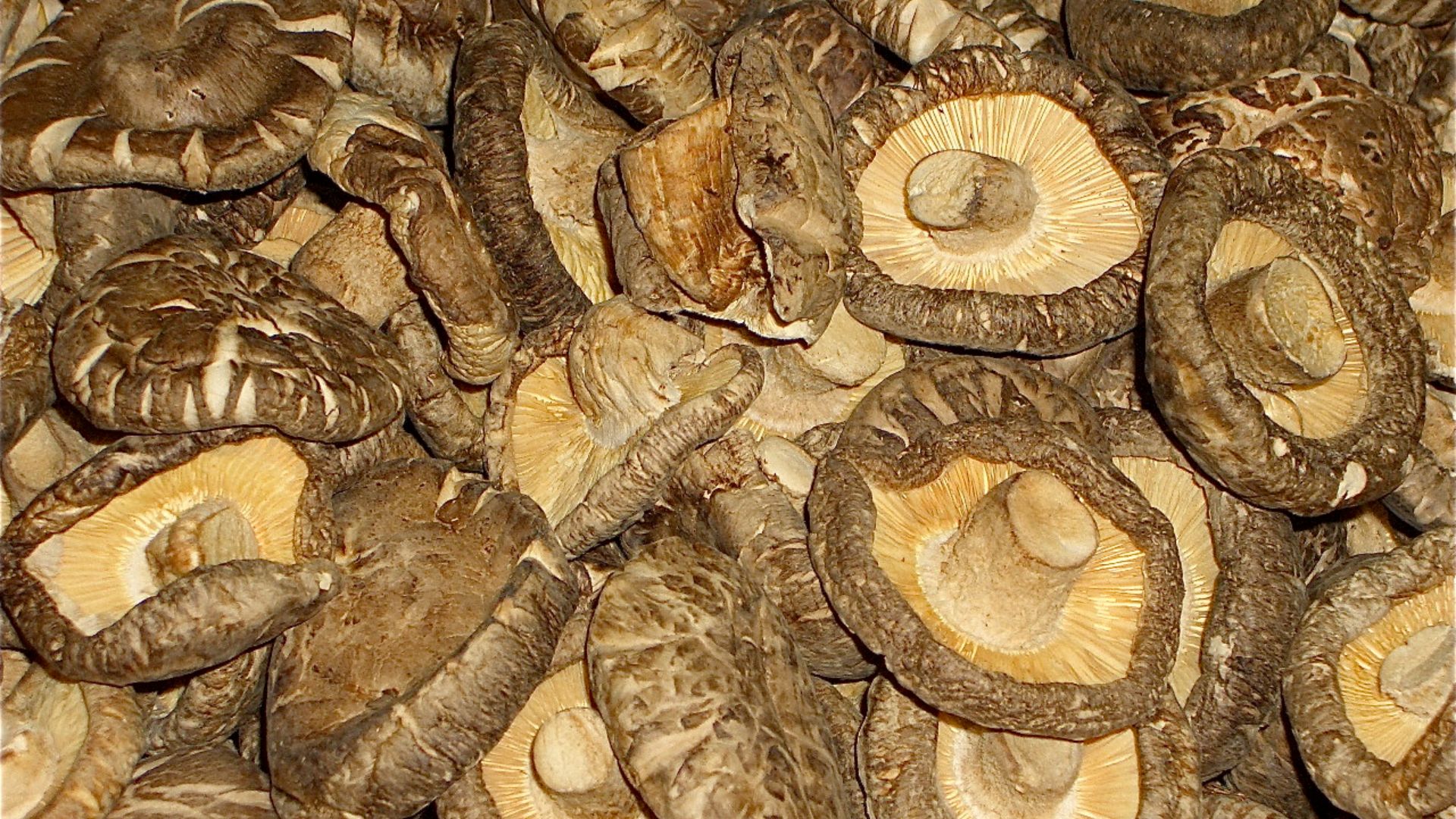 File:44 - shiitake, dried.JPG