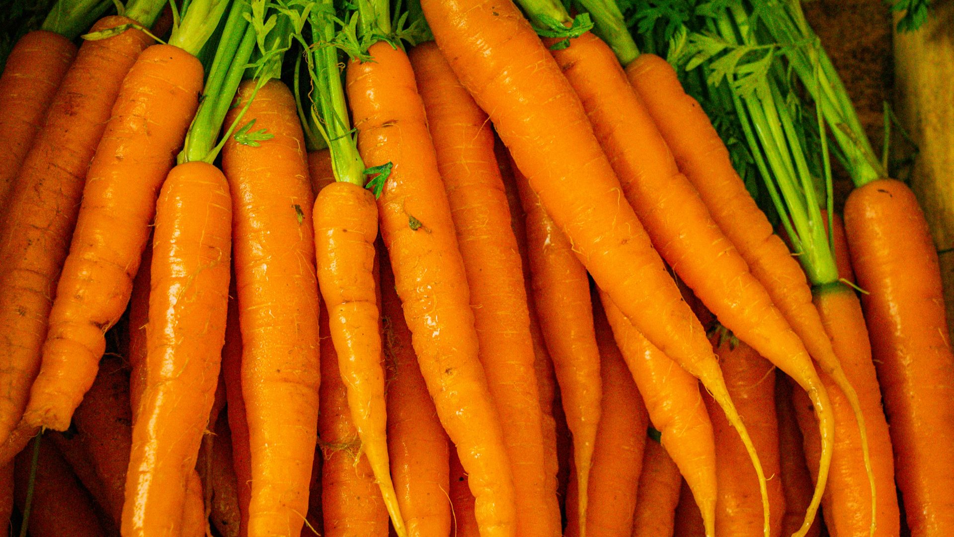 a pile of carrots sitting next to each other