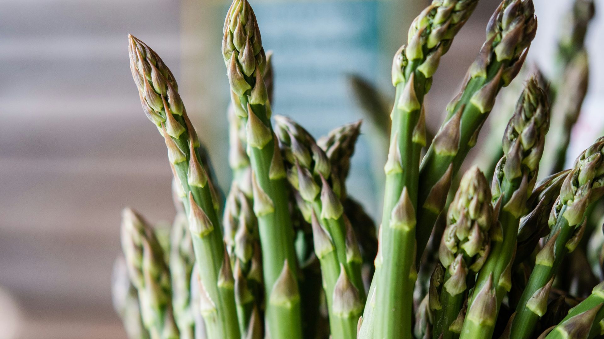 green plant on white ceramic bowl