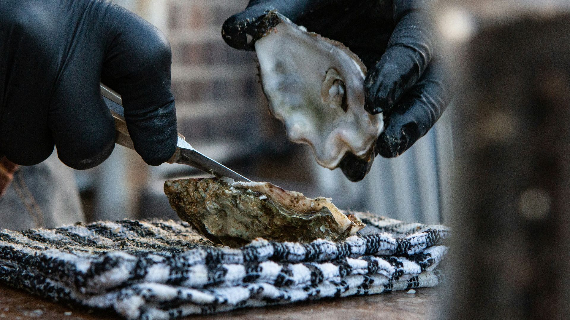 person in black leather jacket holding silver fork