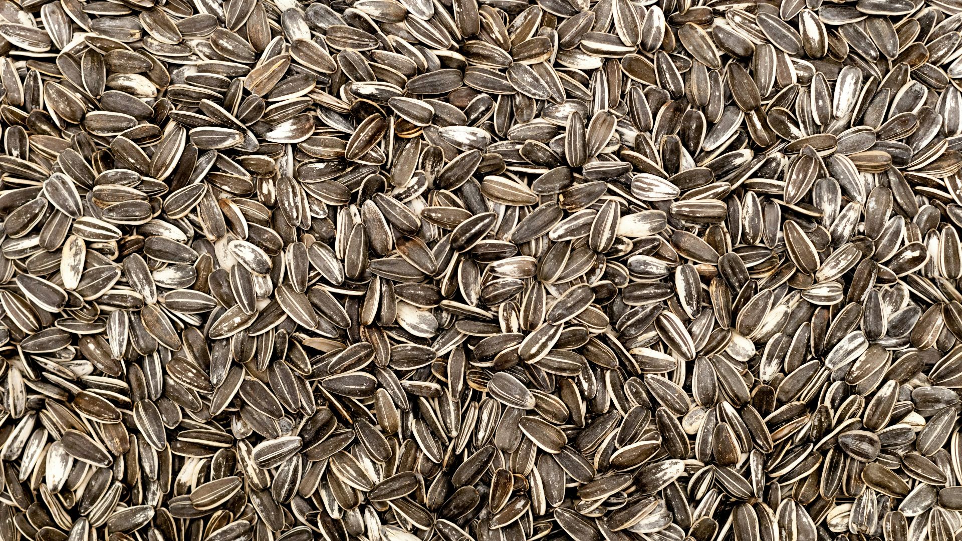 brown dried leaves on ground