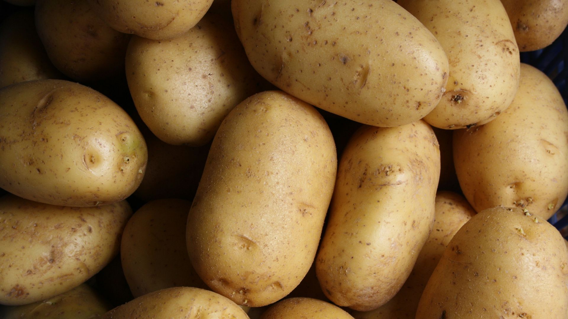 brown potato lot