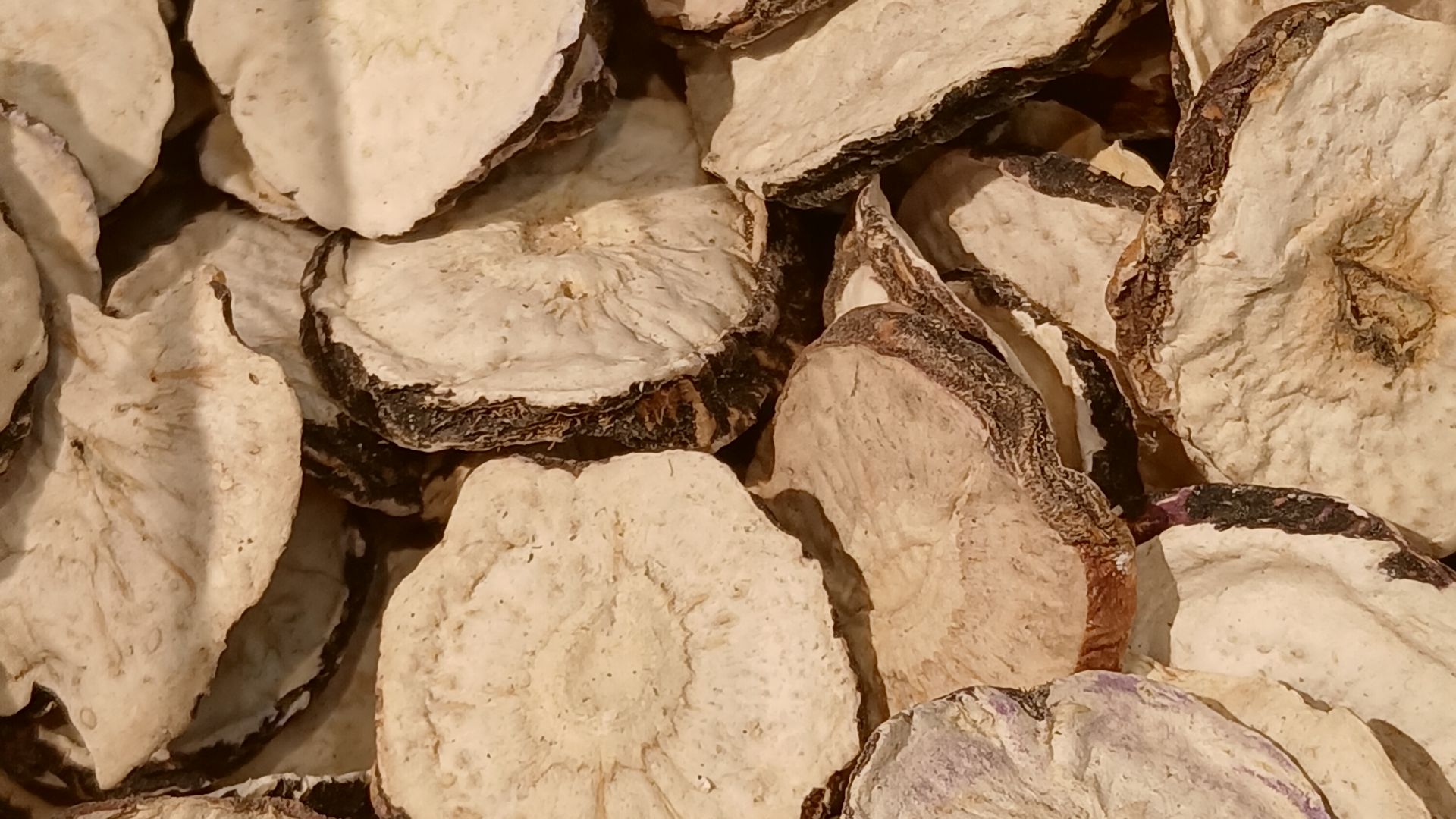 File:Dried maca slices.jpg