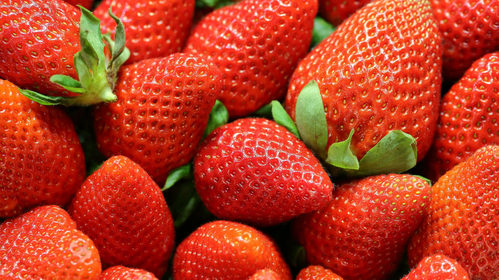 strawberry lot