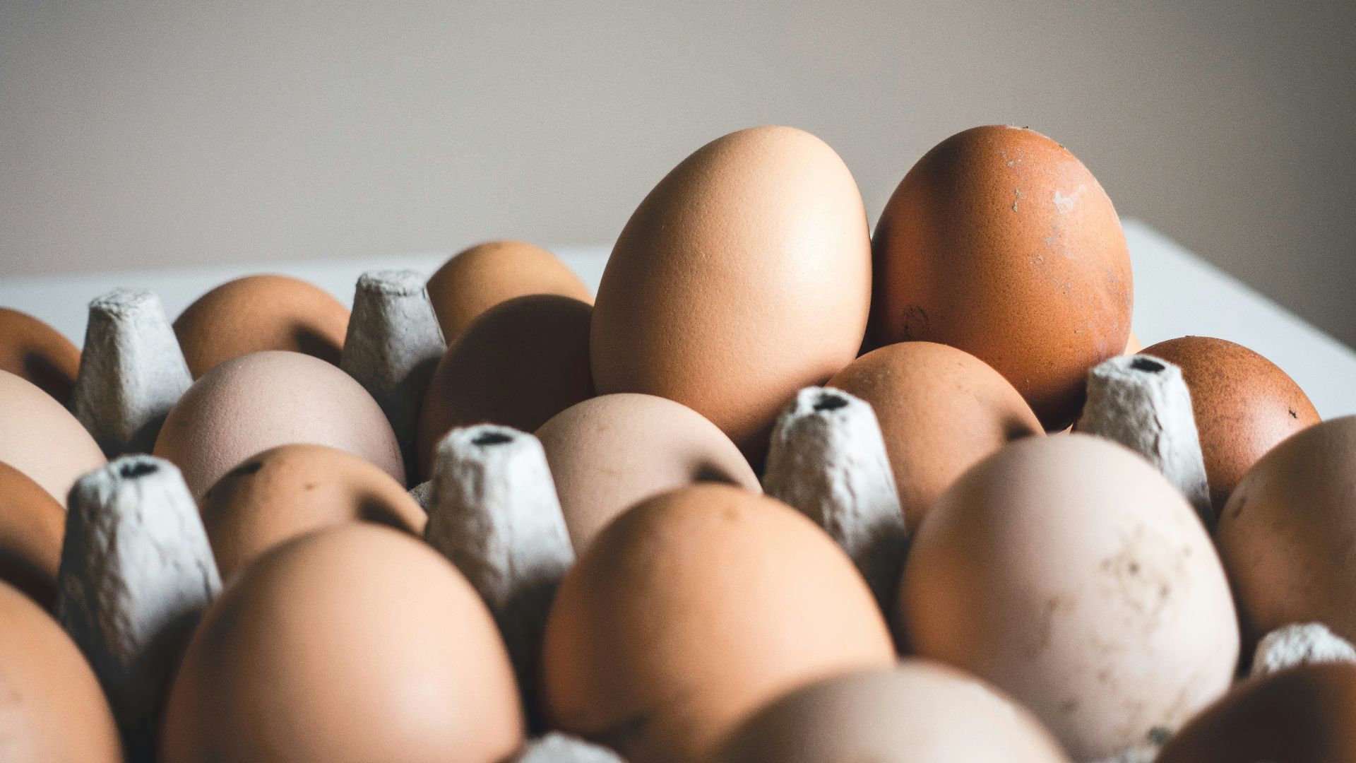 shallow focus photography of brown eggs