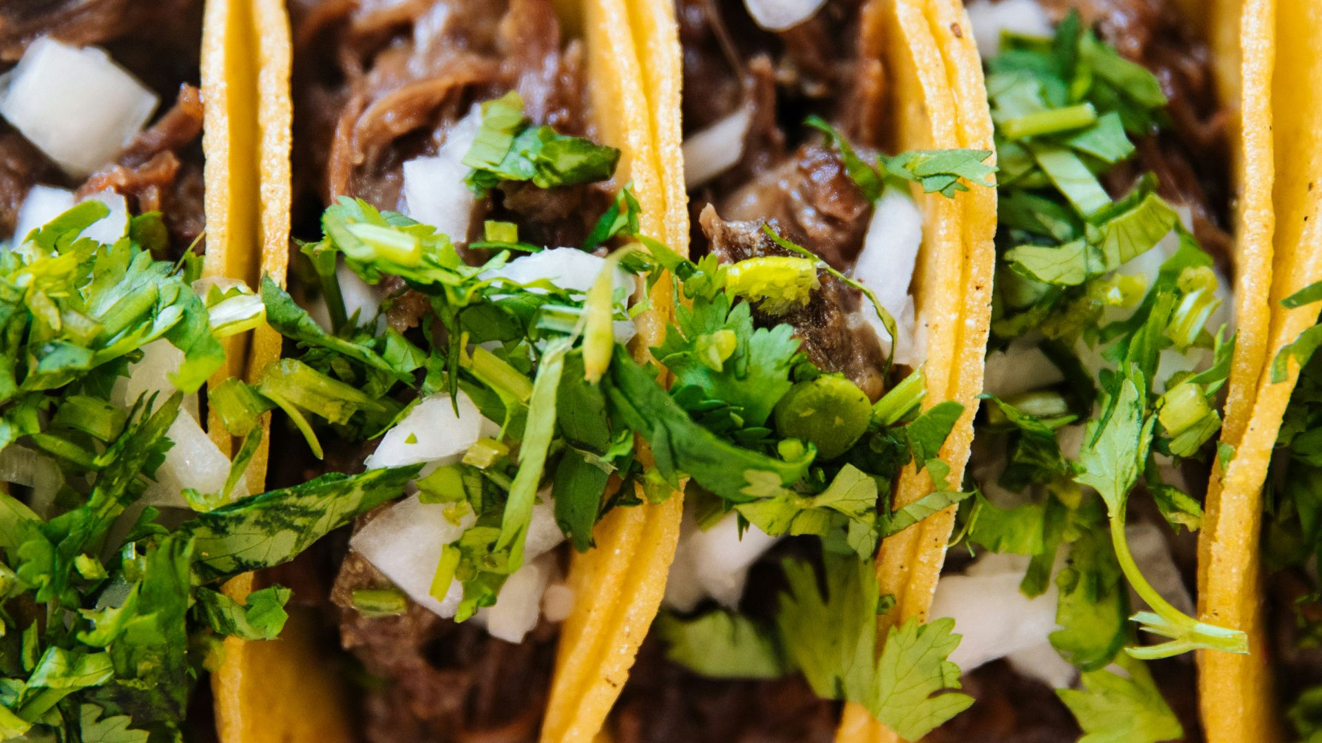 green vegetable on brown soil