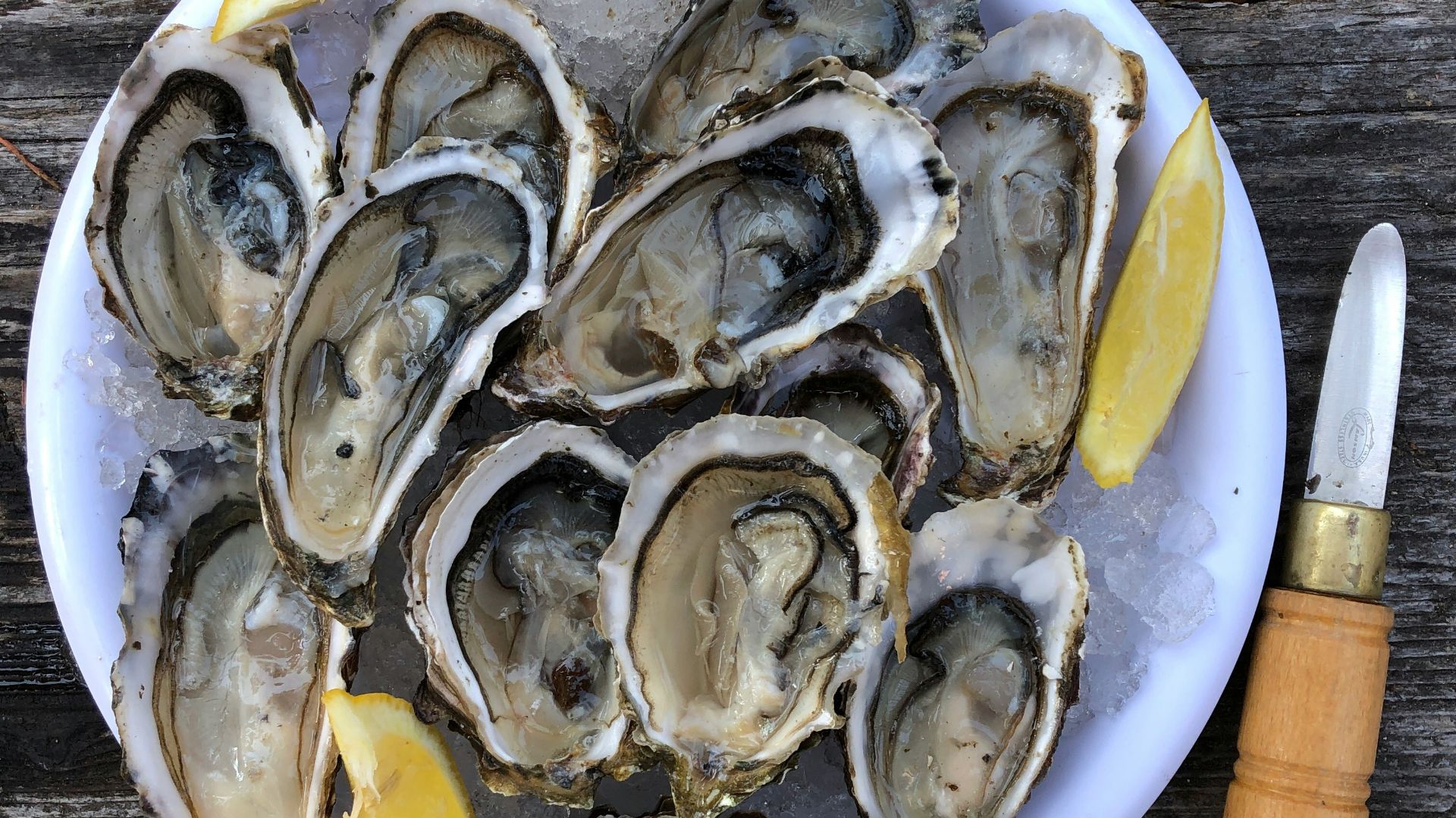 a plate of oysters with lemon wedges and a knife