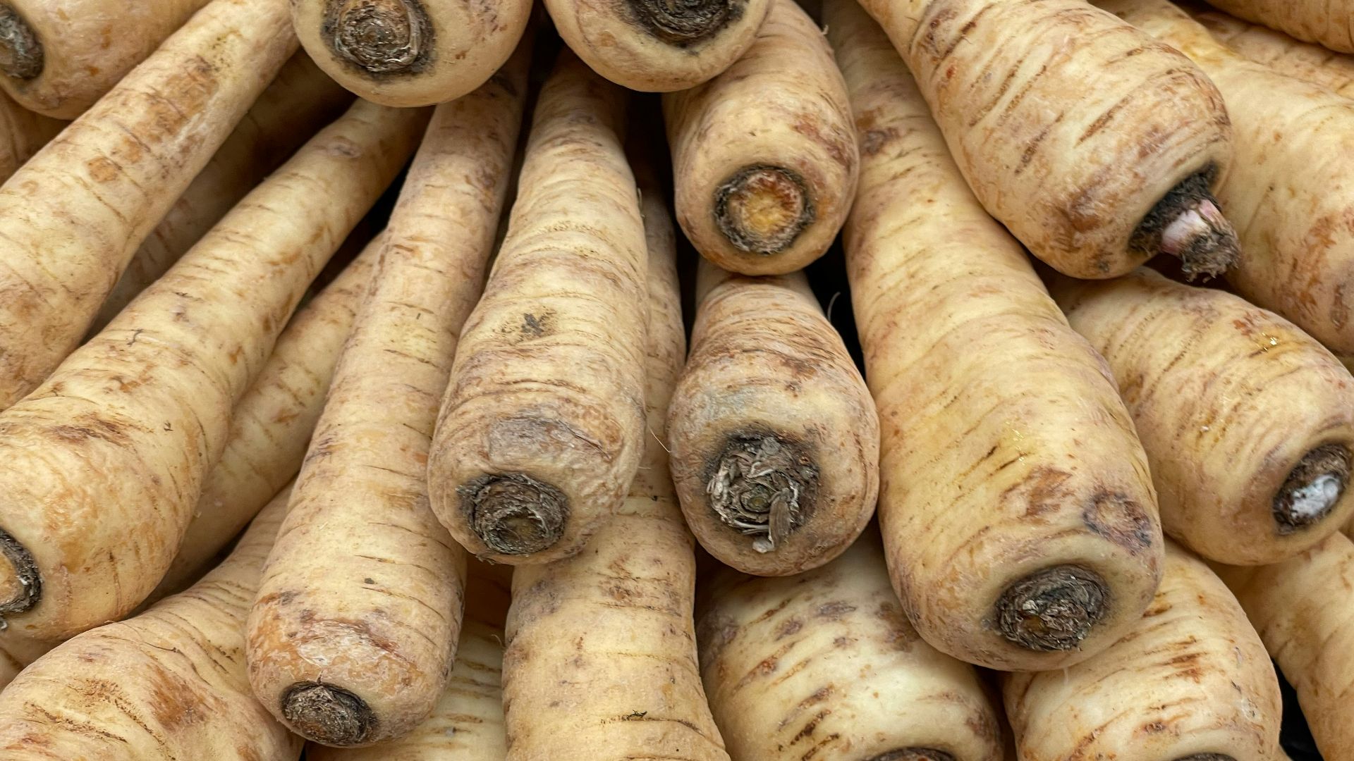 a pile of freshly dug up turnips sitting next to each other