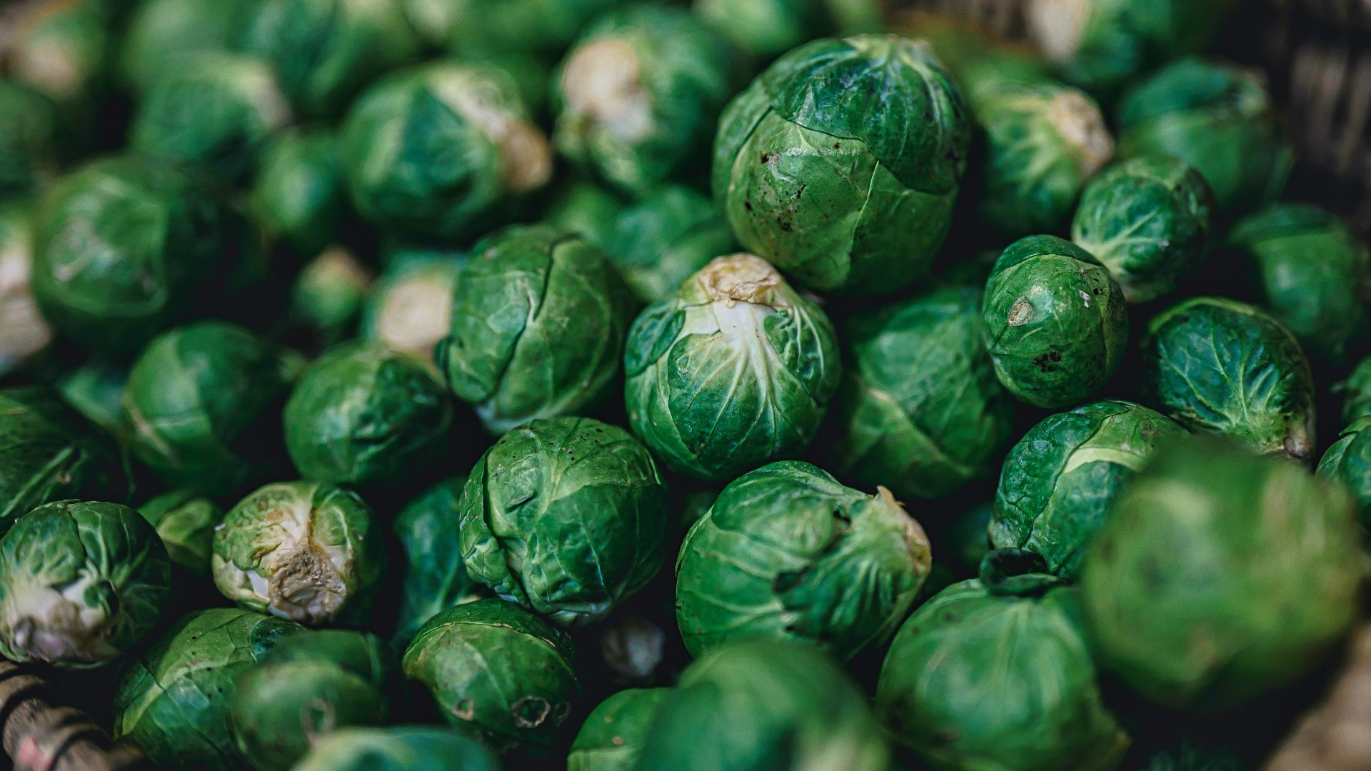 green leaves on brown woven basket