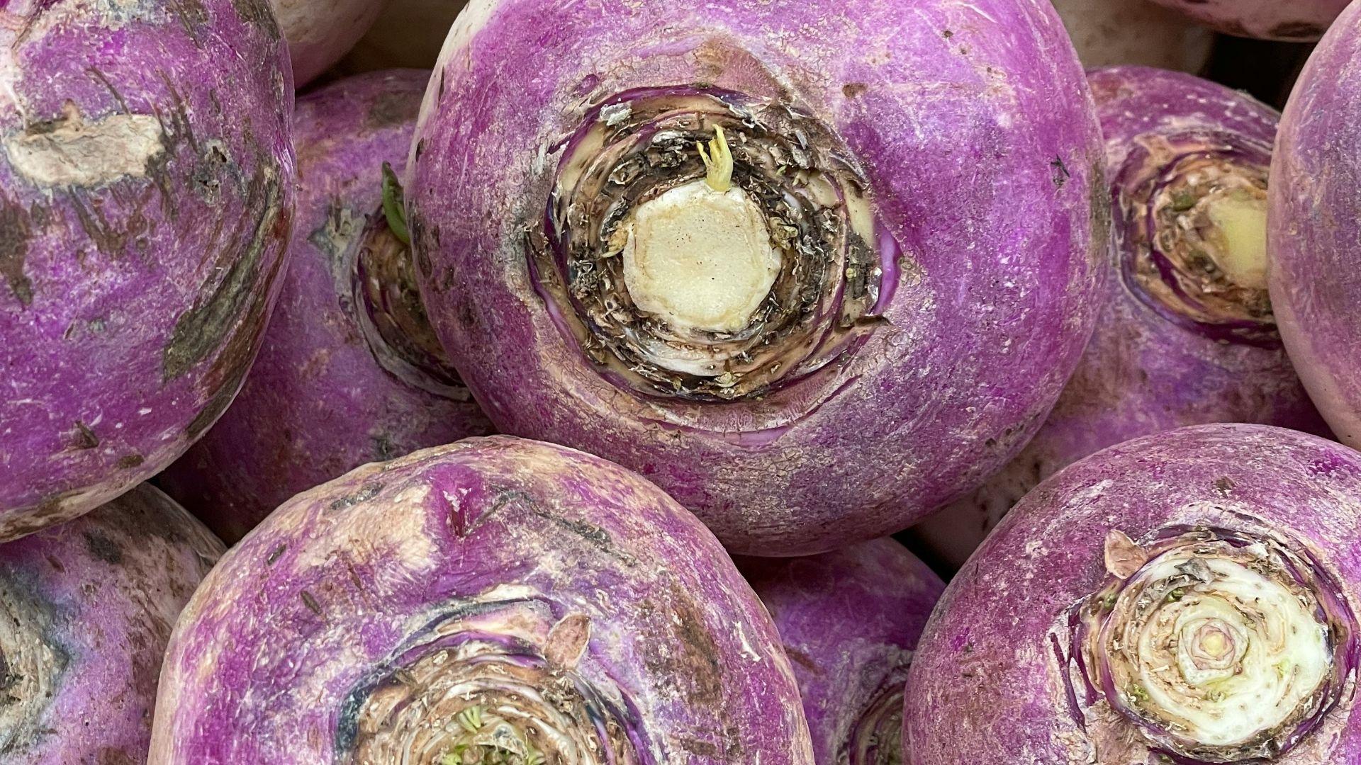a pile of purple turnips sitting next to each other