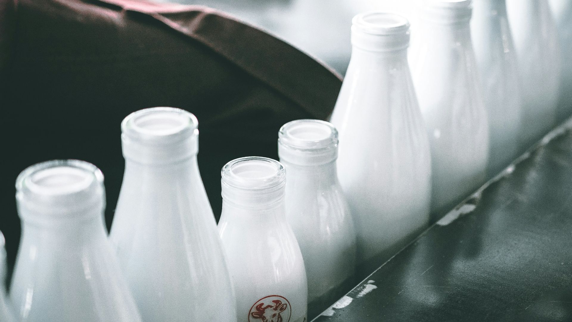 photo of milk bottle lot