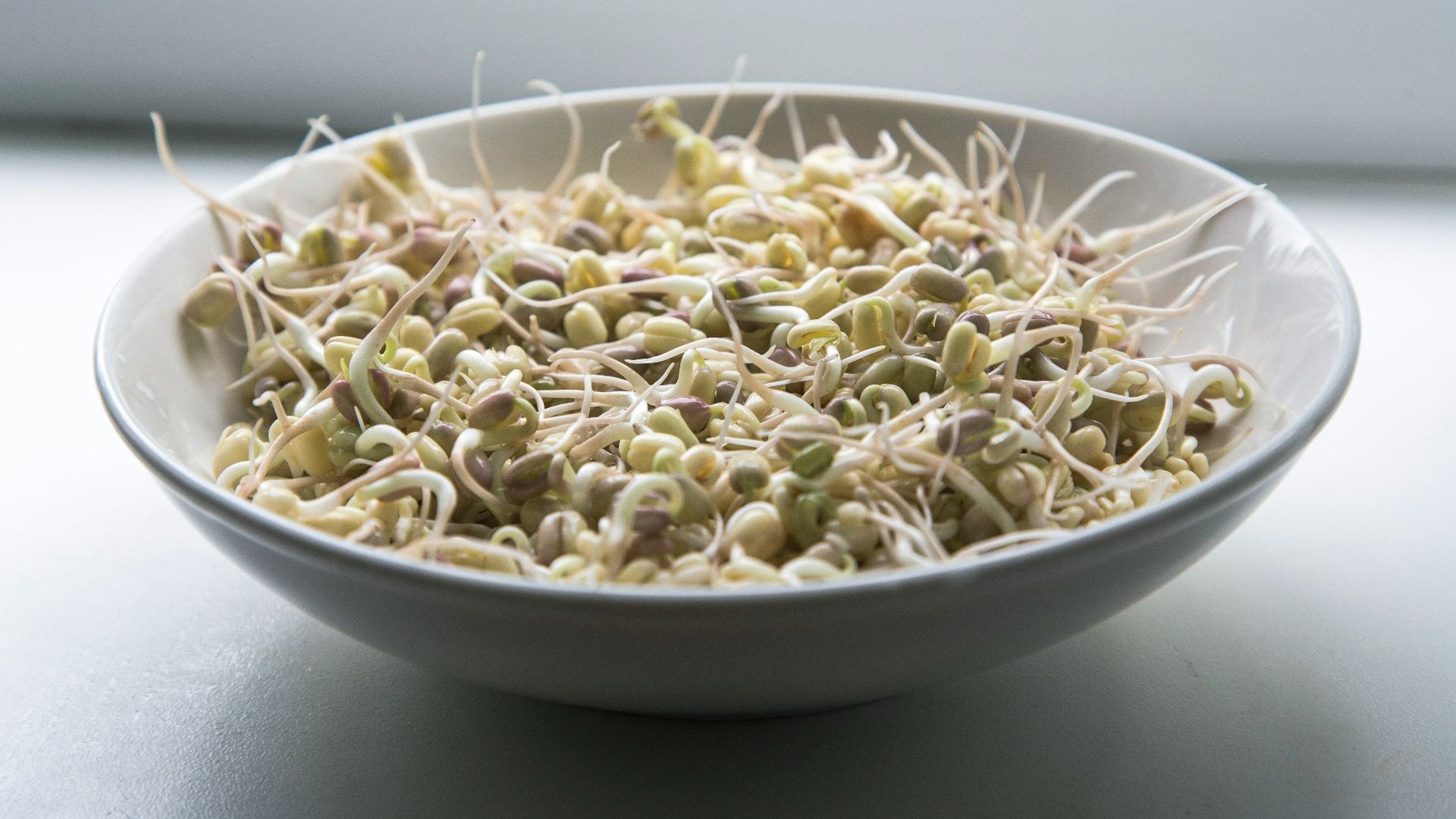 pasta dish on white ceramic bowl
