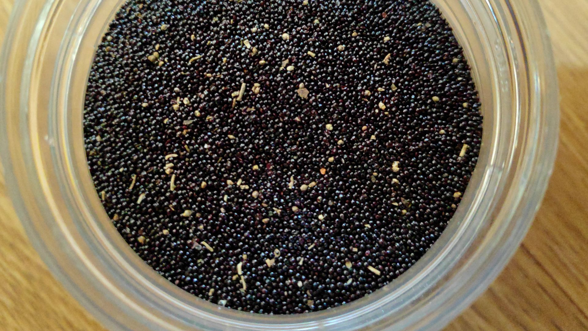 File:Amaranth Seed.jpg