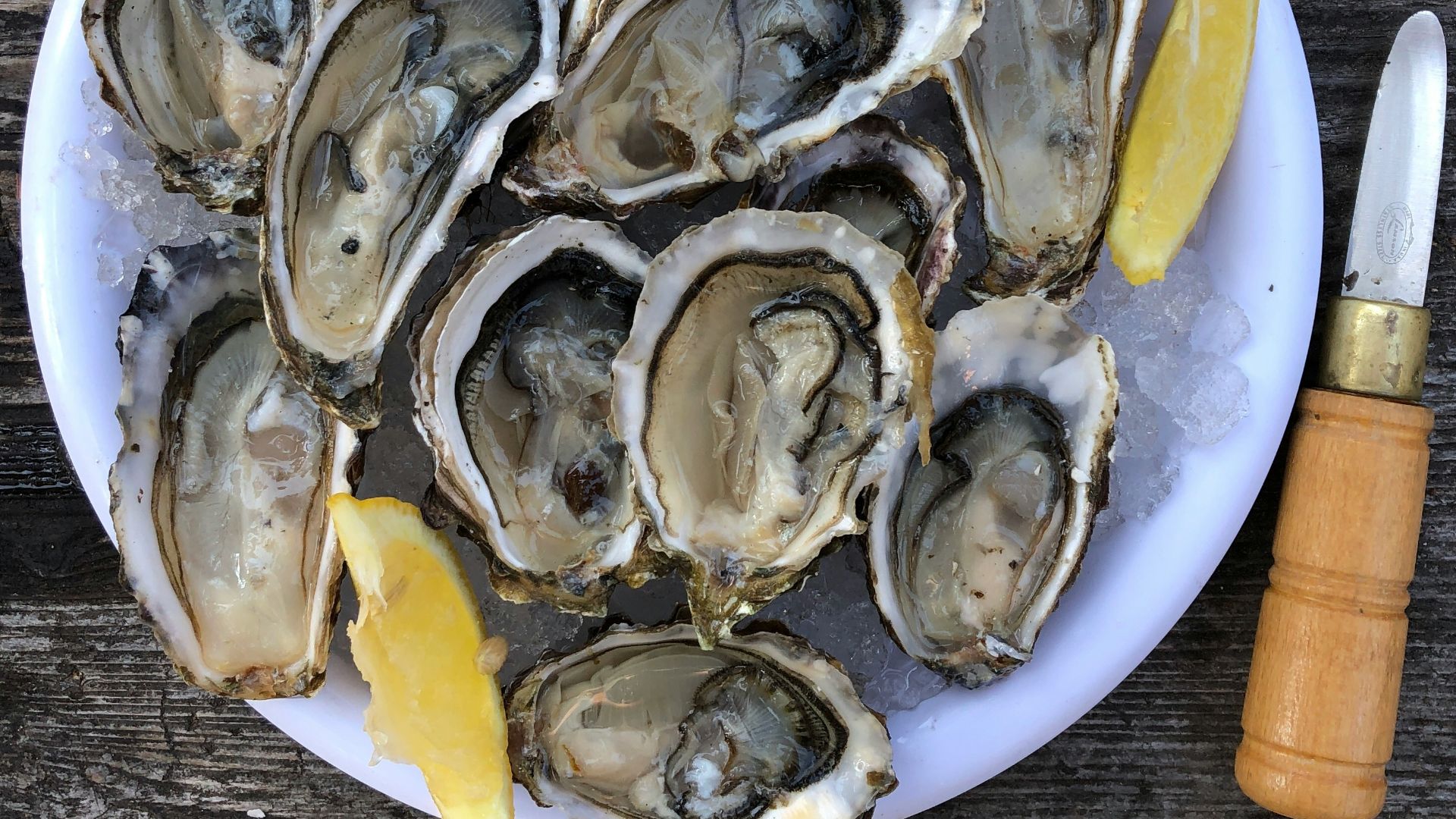 a plate of oysters with lemon wedges and a knife