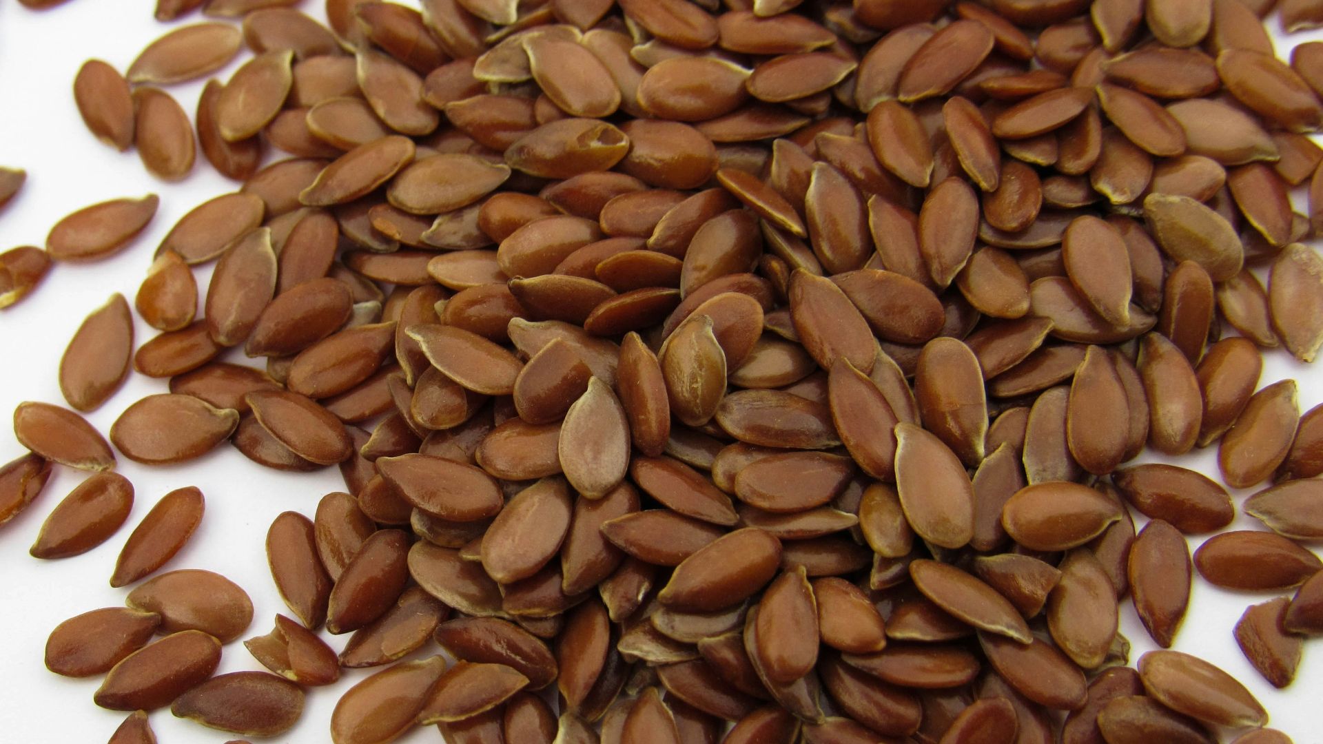a pile of sunflower seeds on a white surface