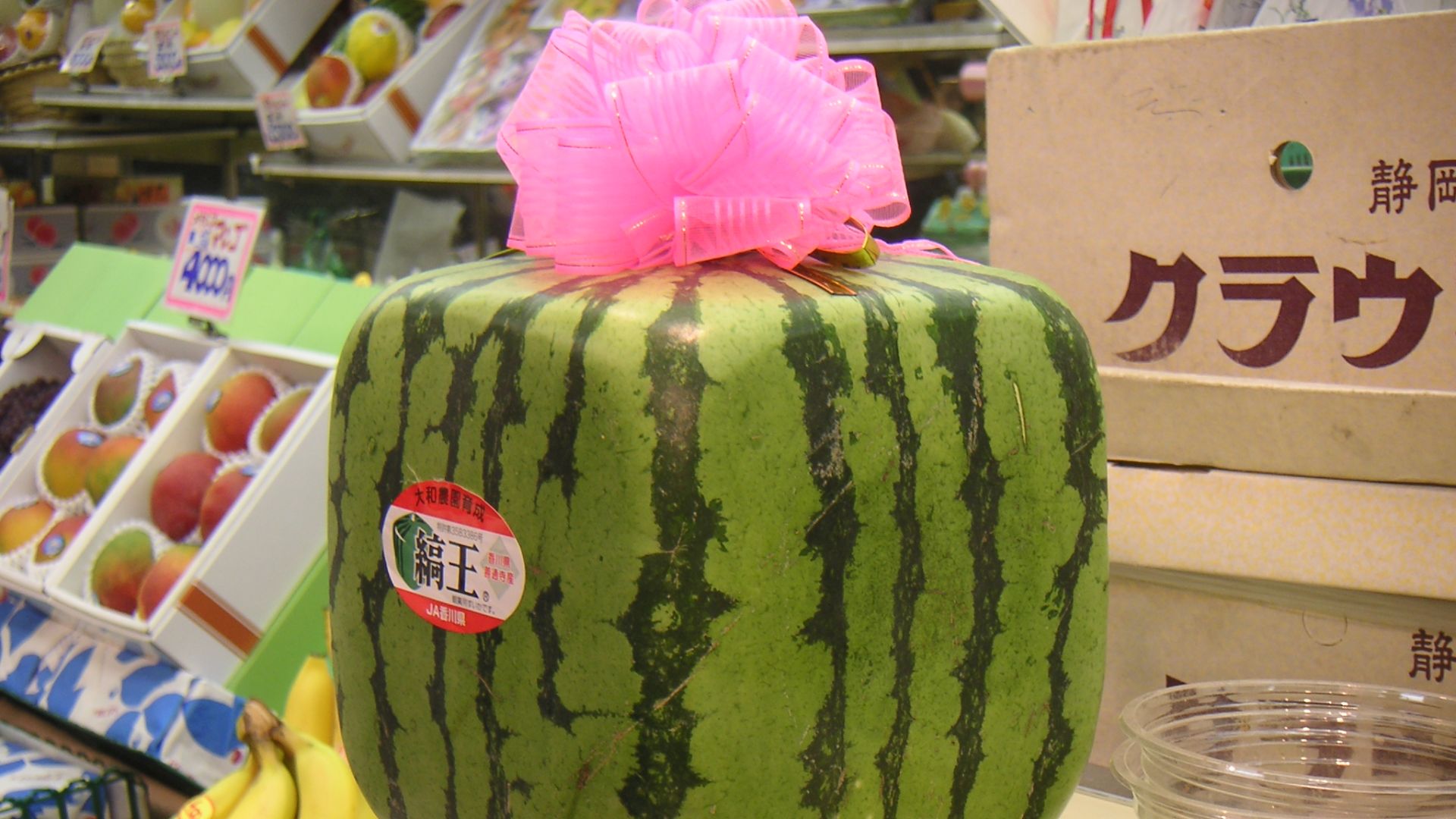 File:Square watermelon.jpg