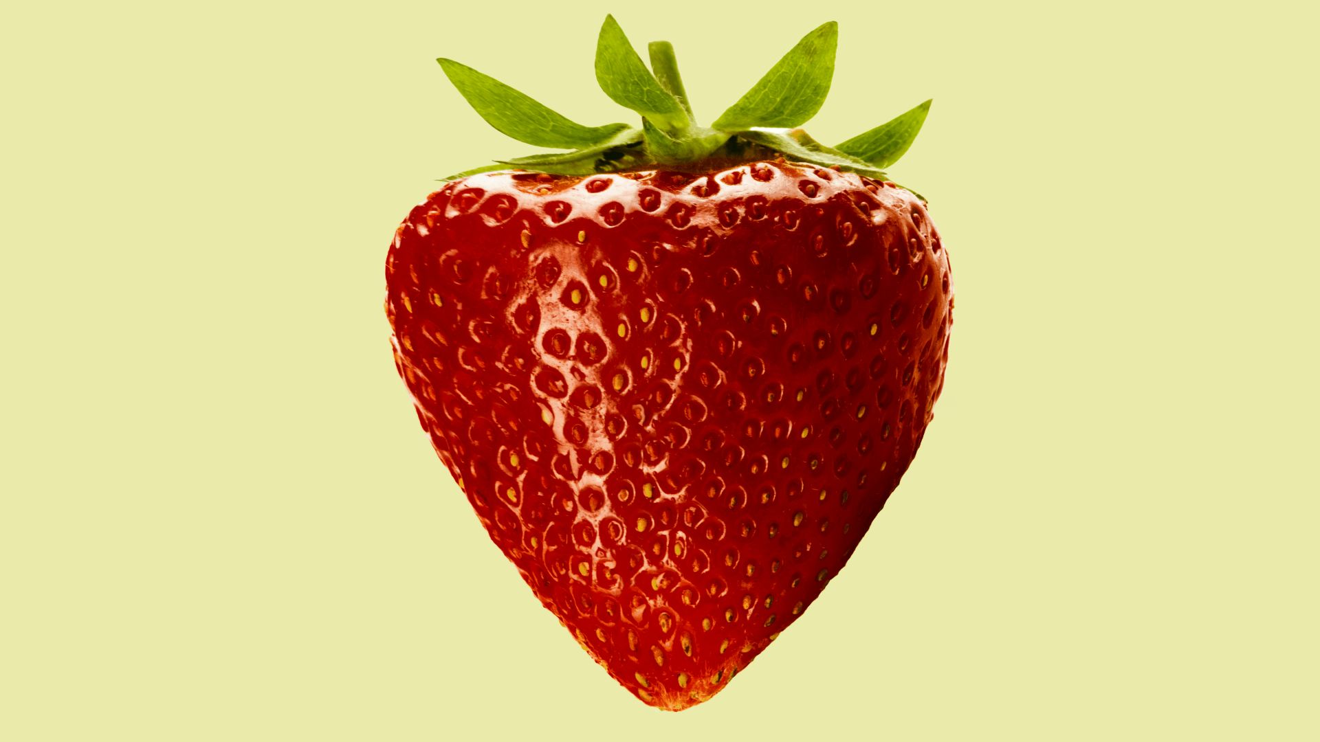 red strawberry fruit with white background