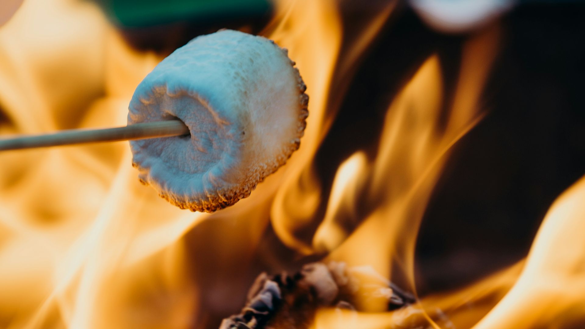 person barbecuing marshmallow