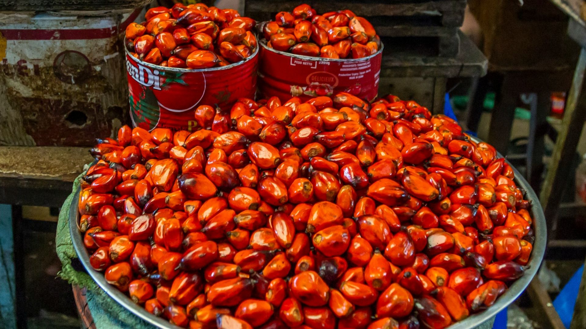 brown seeds on display