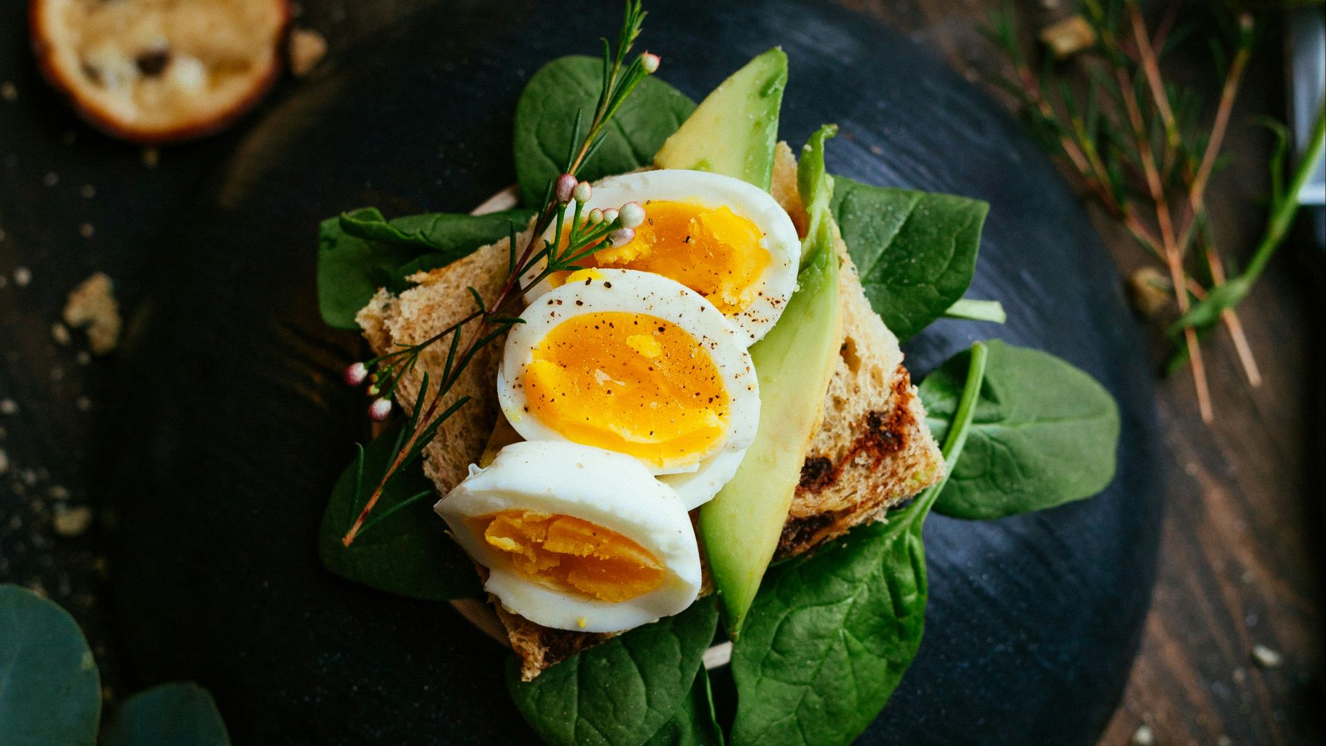 sandwich with boiled egg