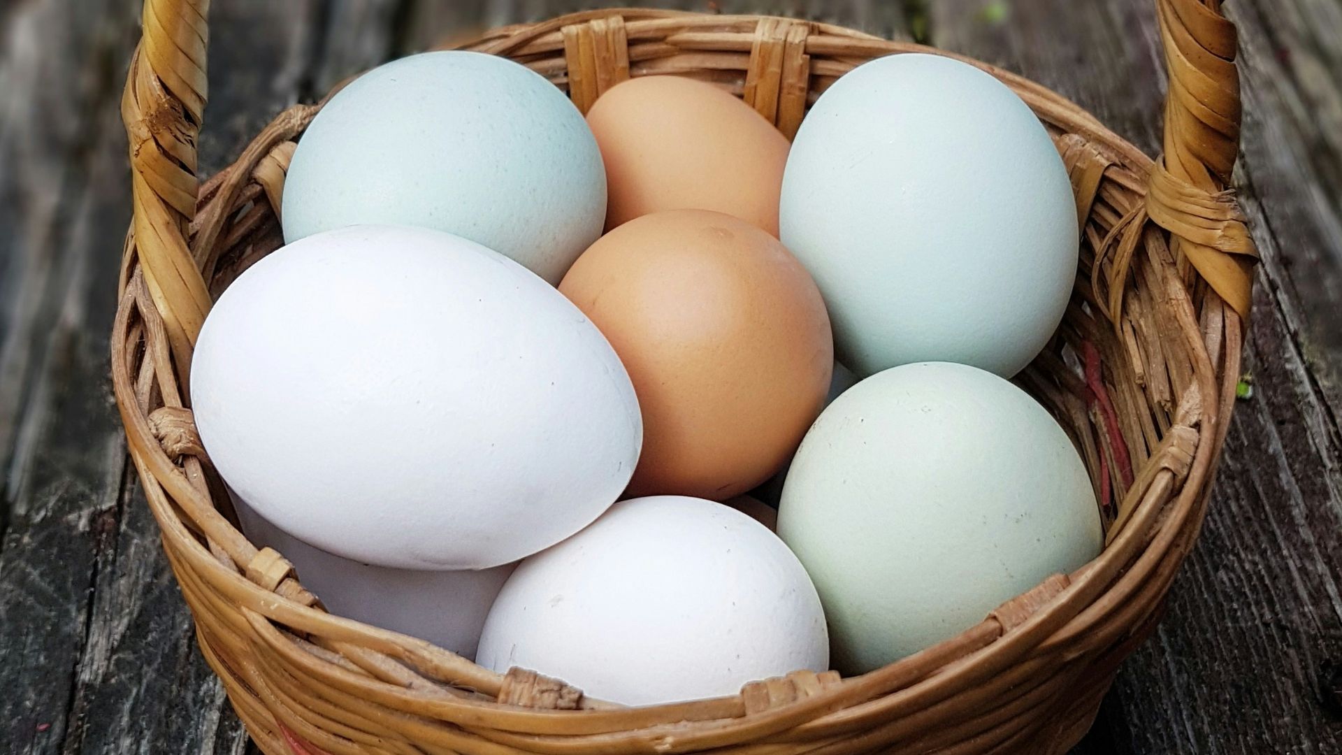 basket of eggs