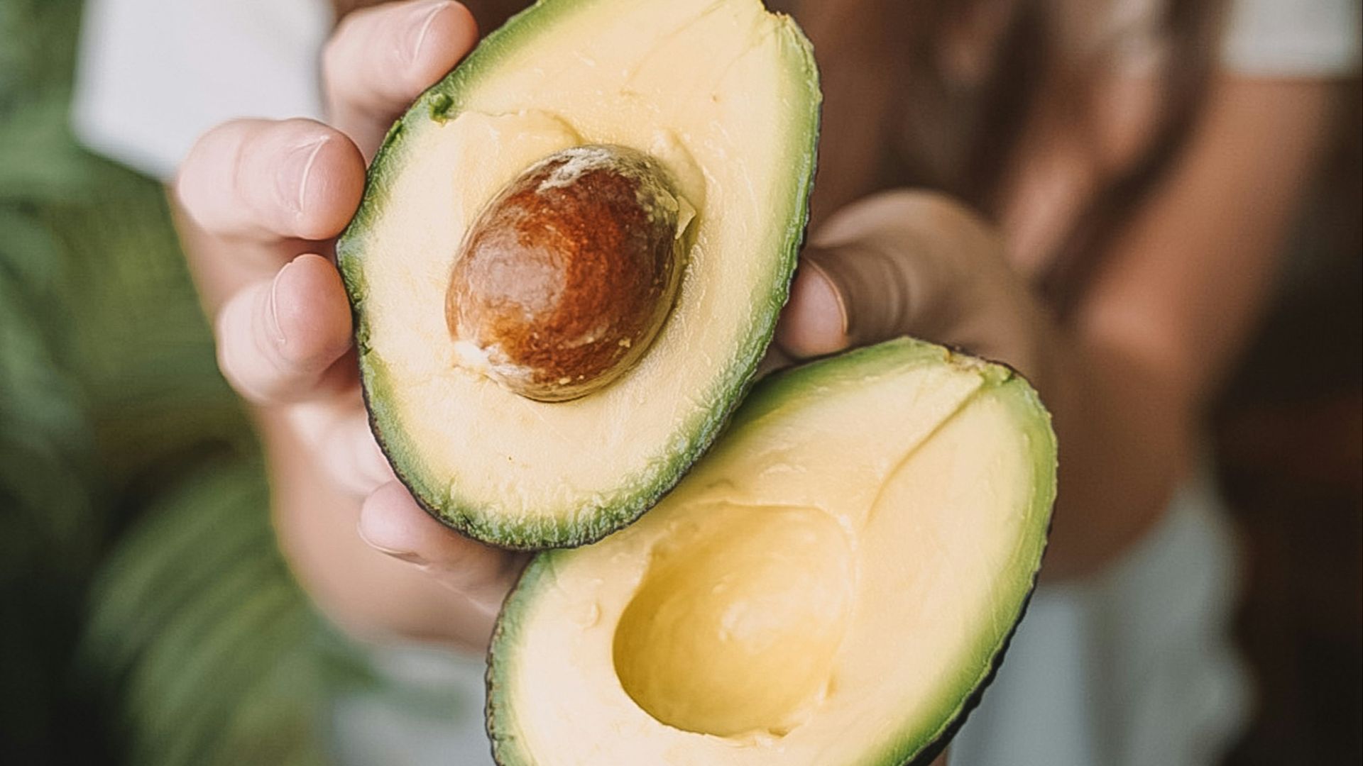 sliced avocado fruit on persons hand