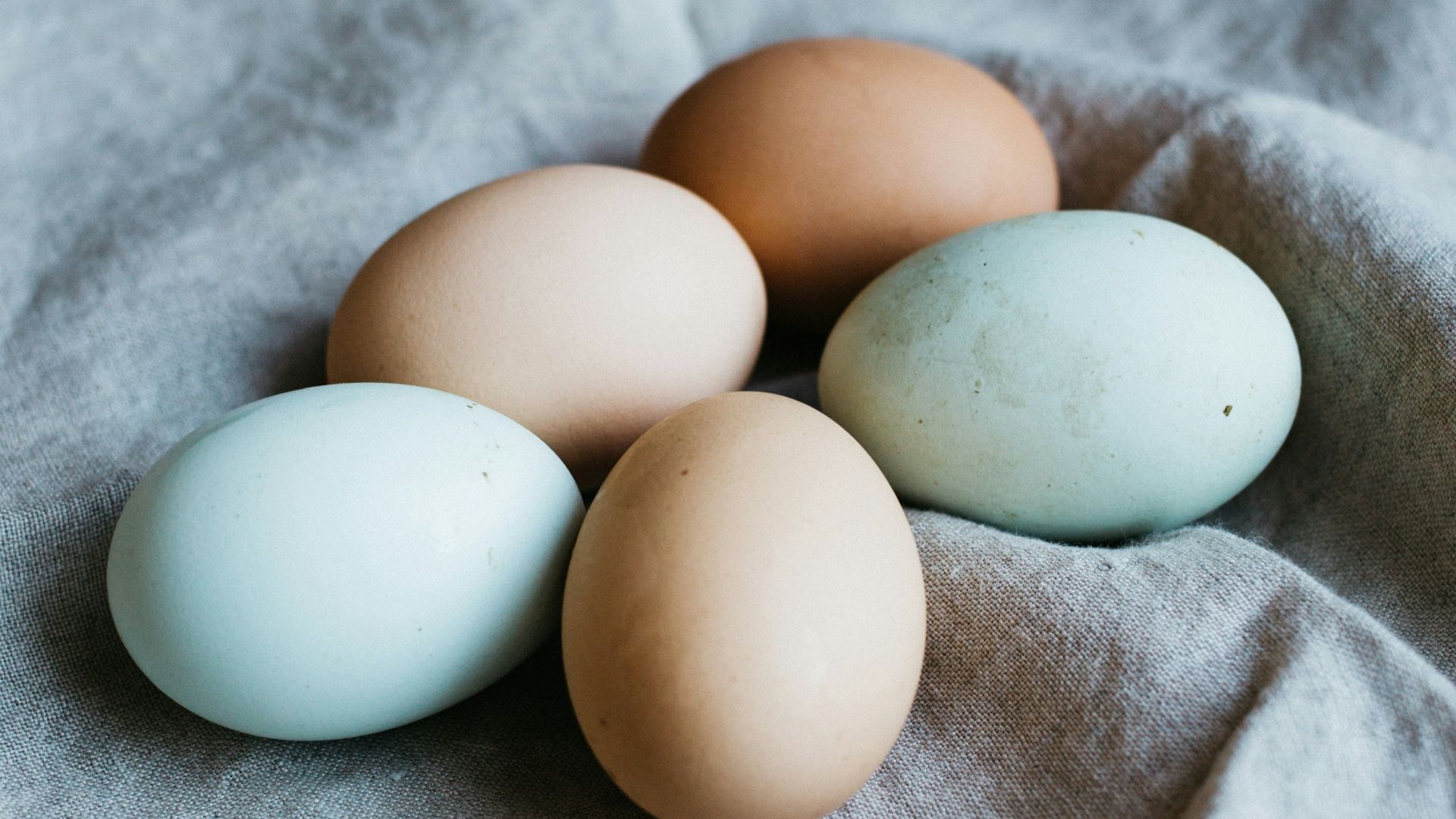 five broil eggs
