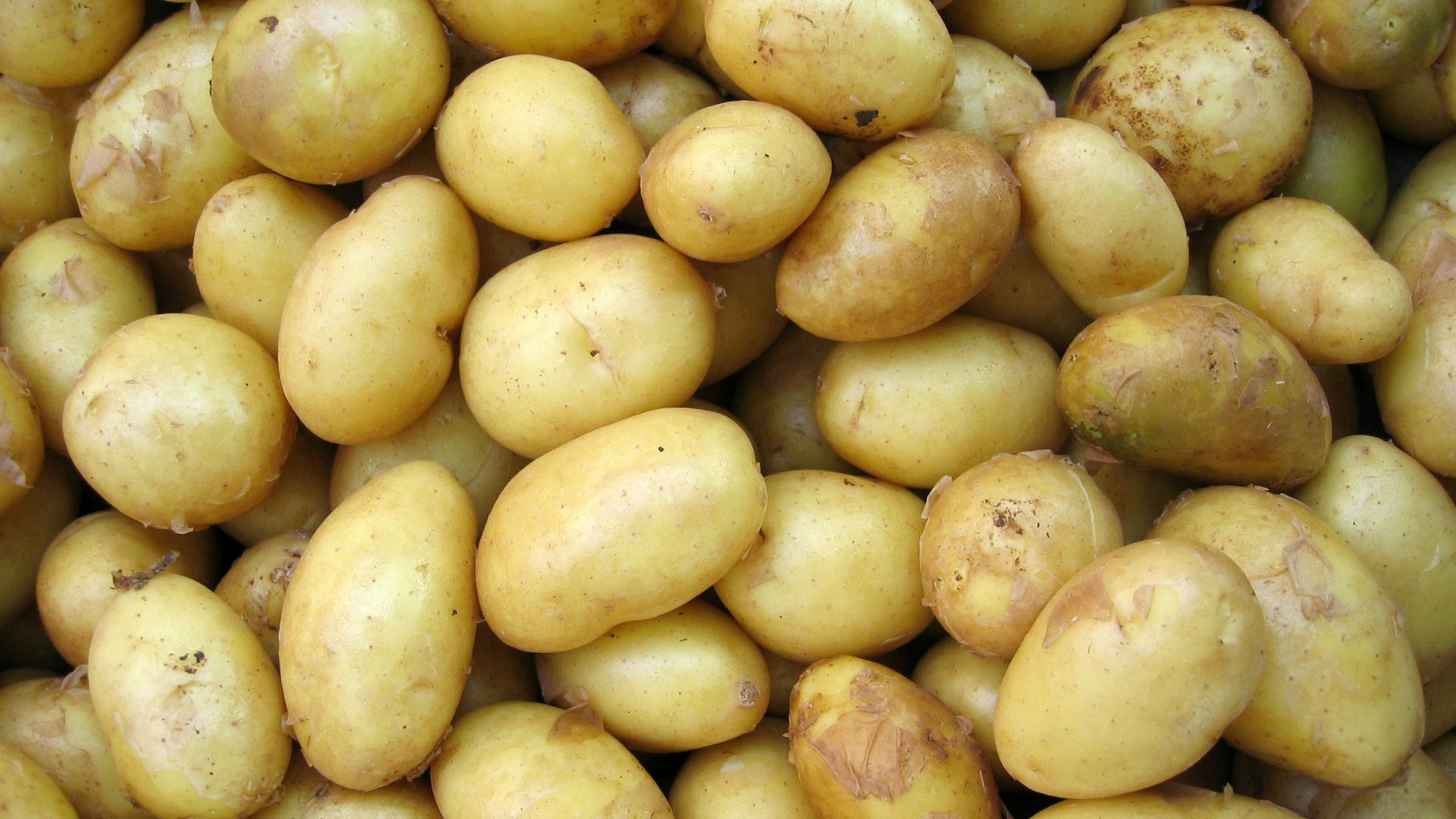 potatoes