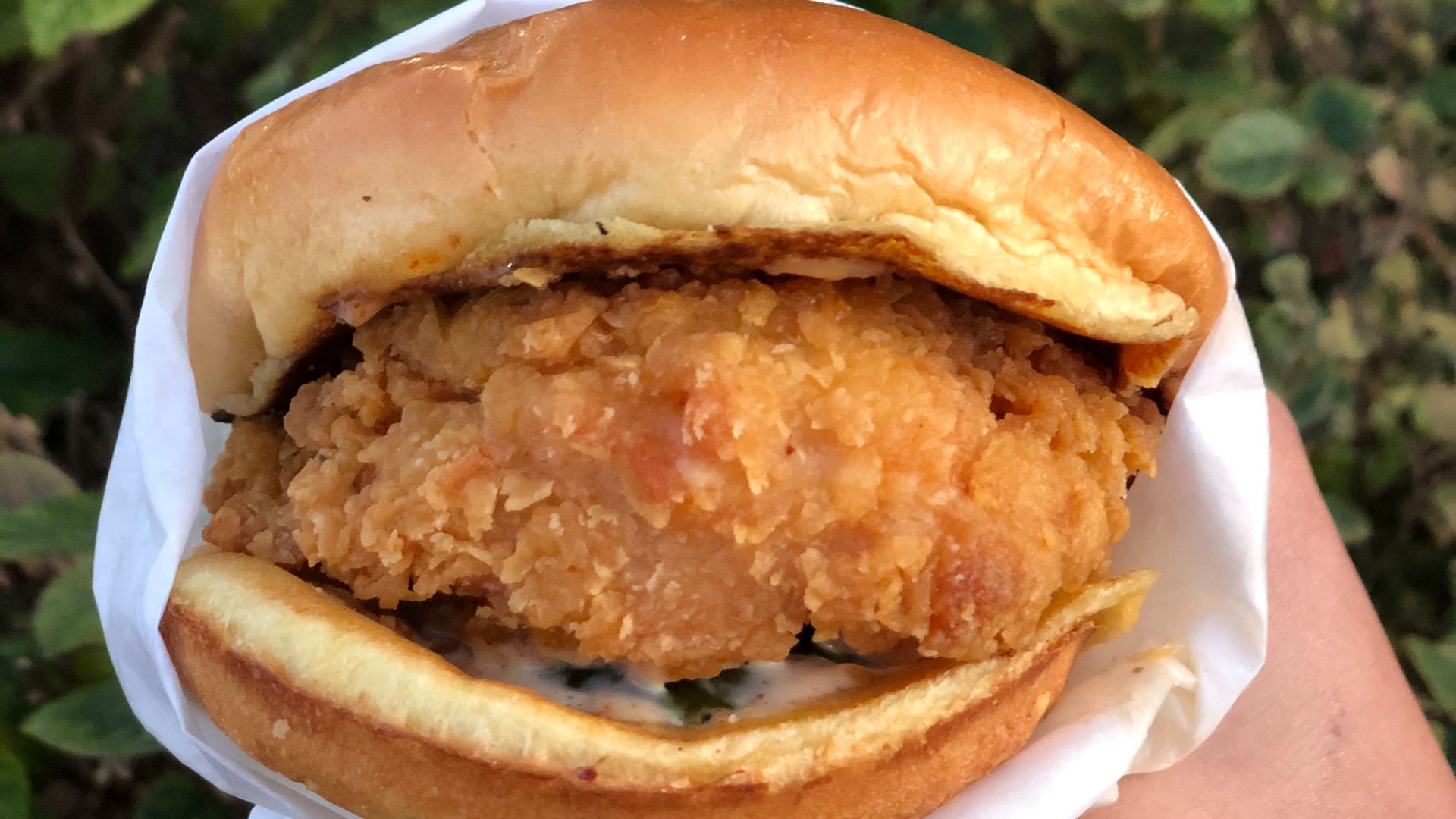 File:Popeyes chicken sandwich.jpg