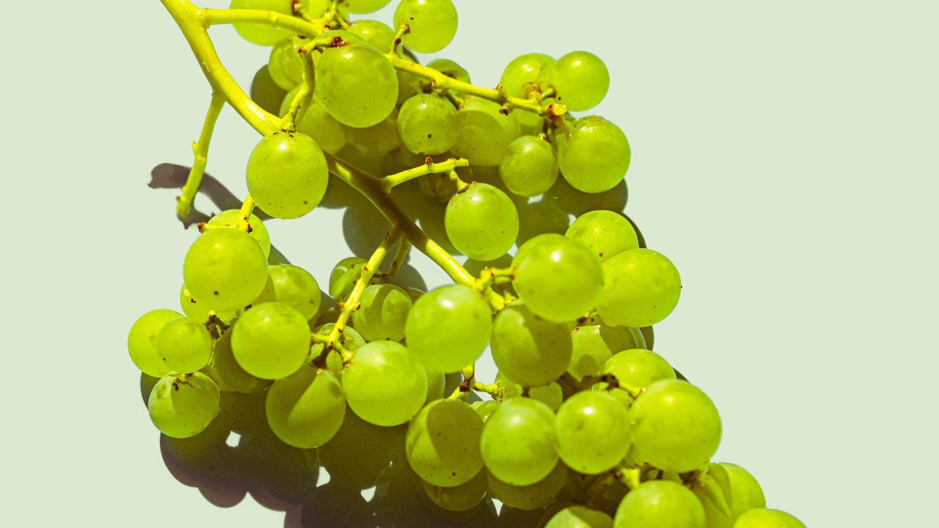 a bunch of green grapes sitting on top of a table