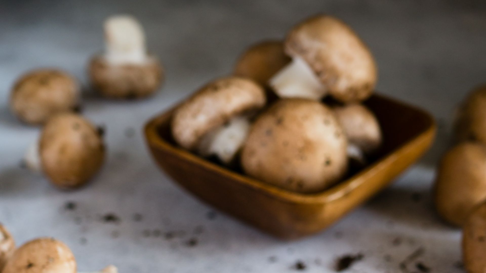 brown mushrooms on gray surface
