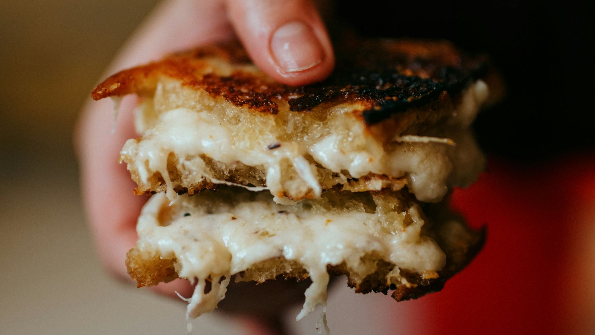 person holding brown and white bread