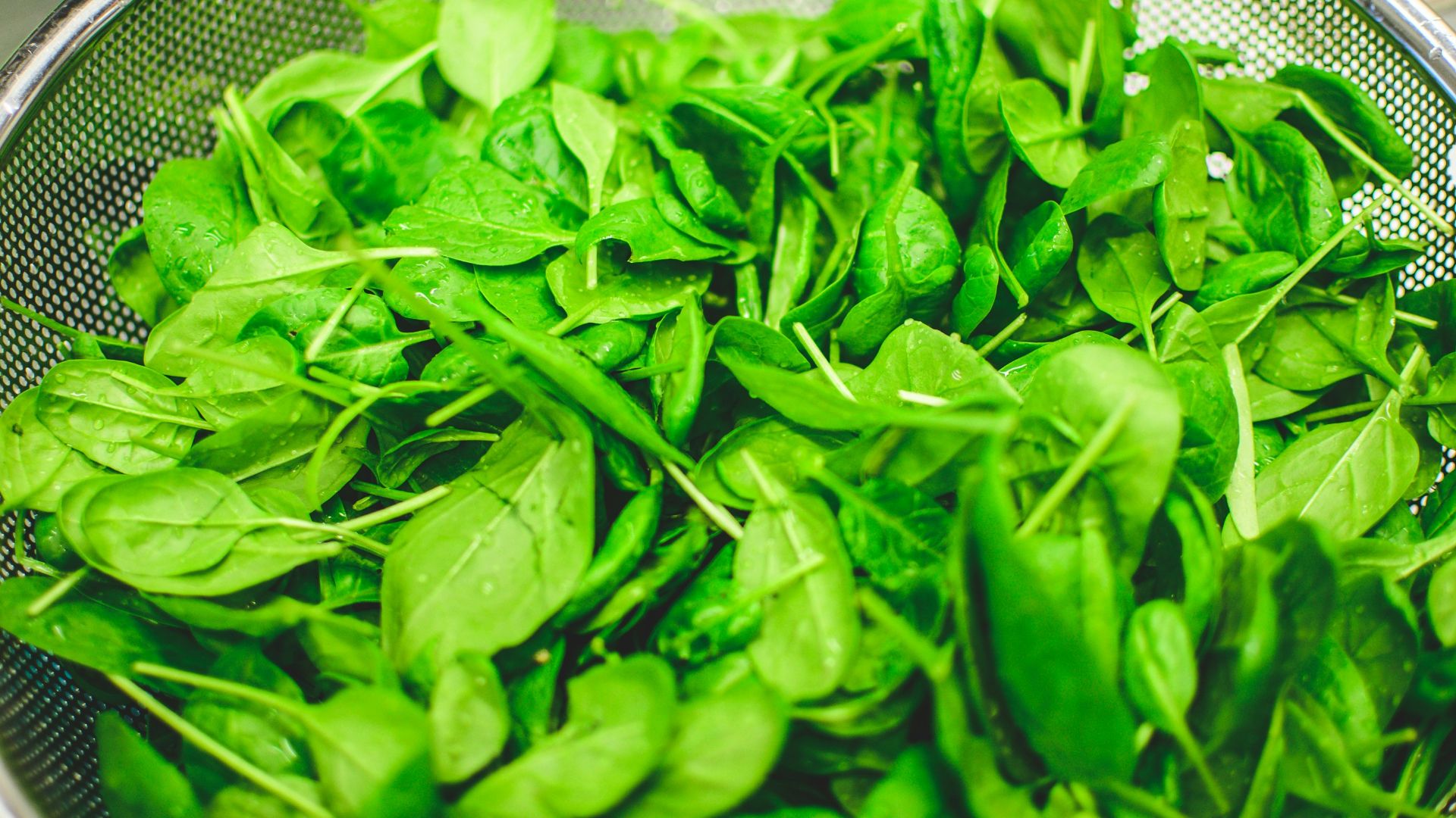 green leaves