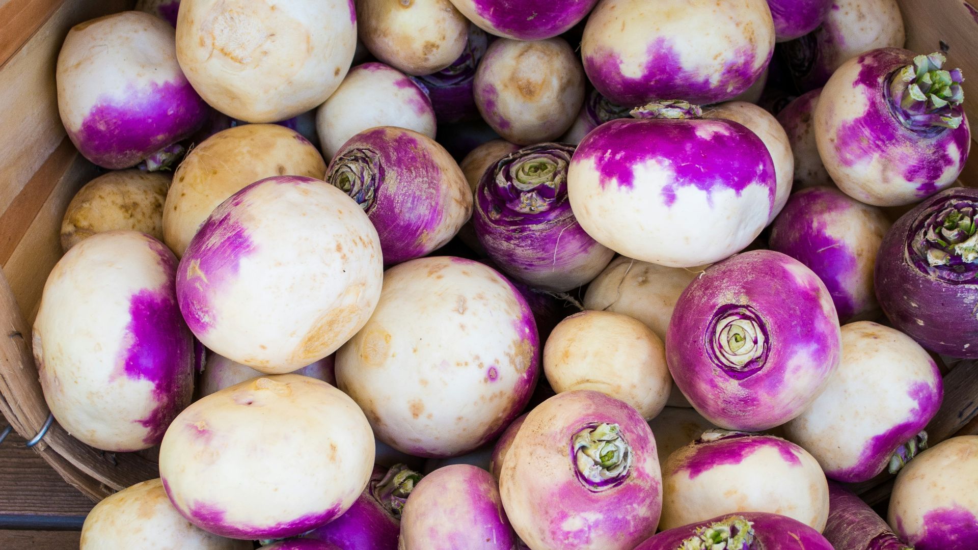 white turnips