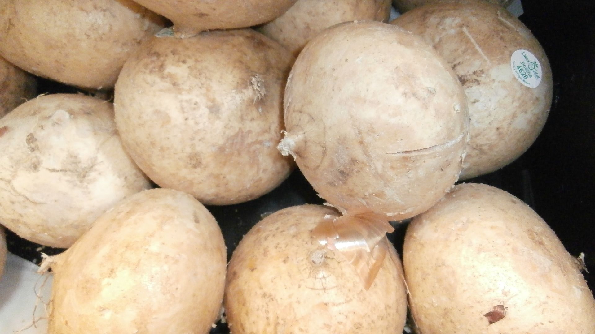 File:Jicama in a bin.jpg