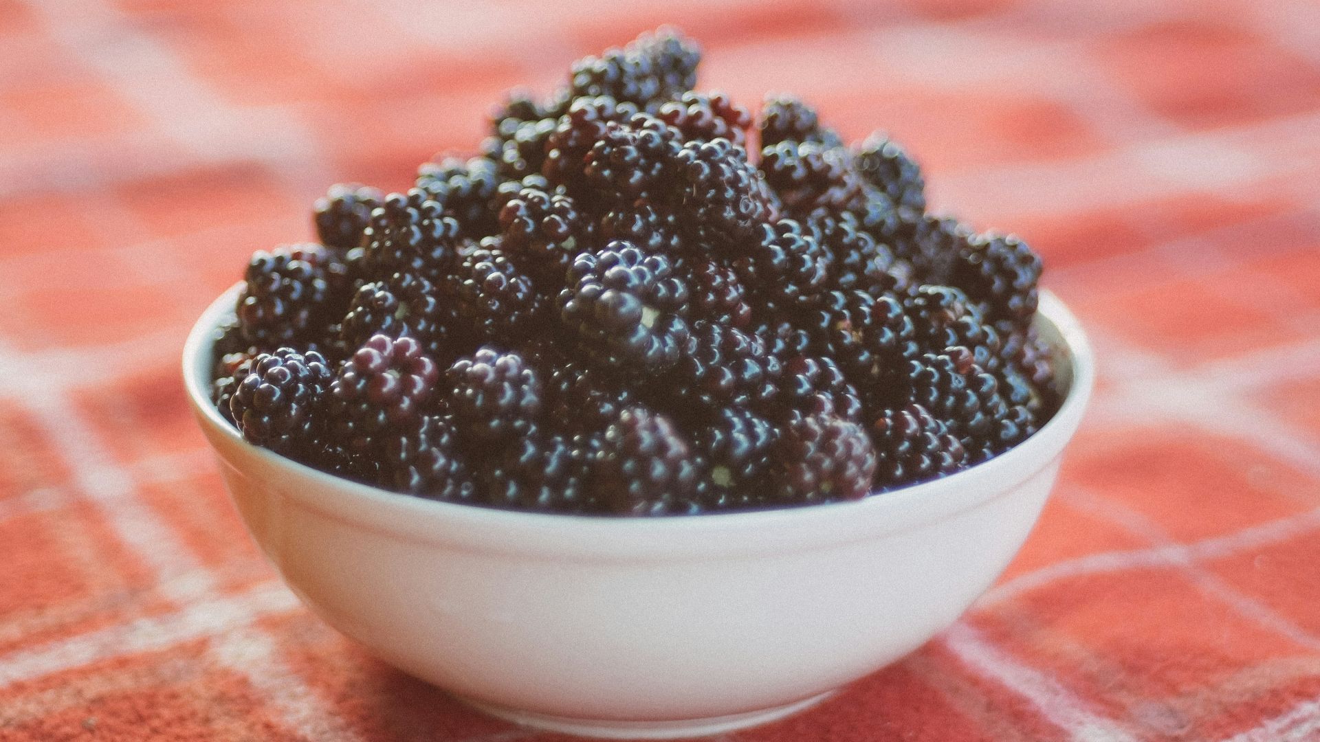 bowl of black berries