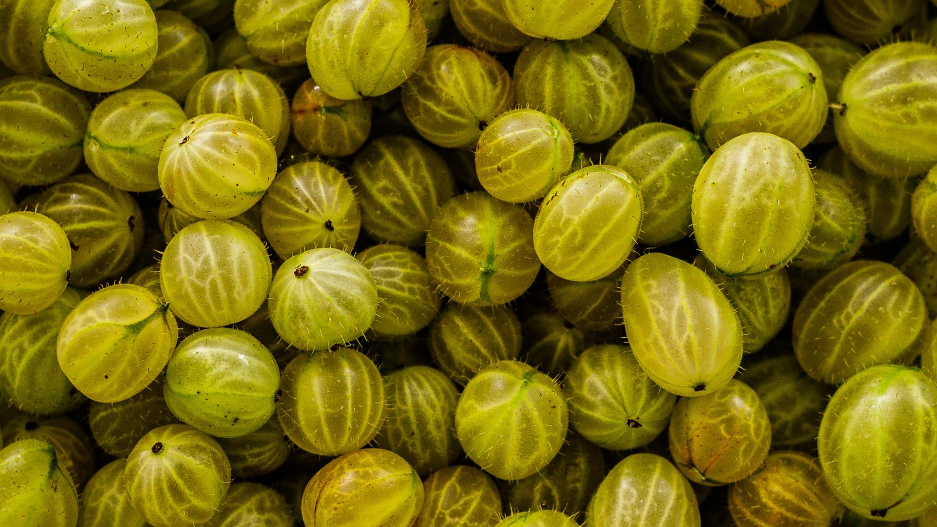 a large pile of yellow fruit