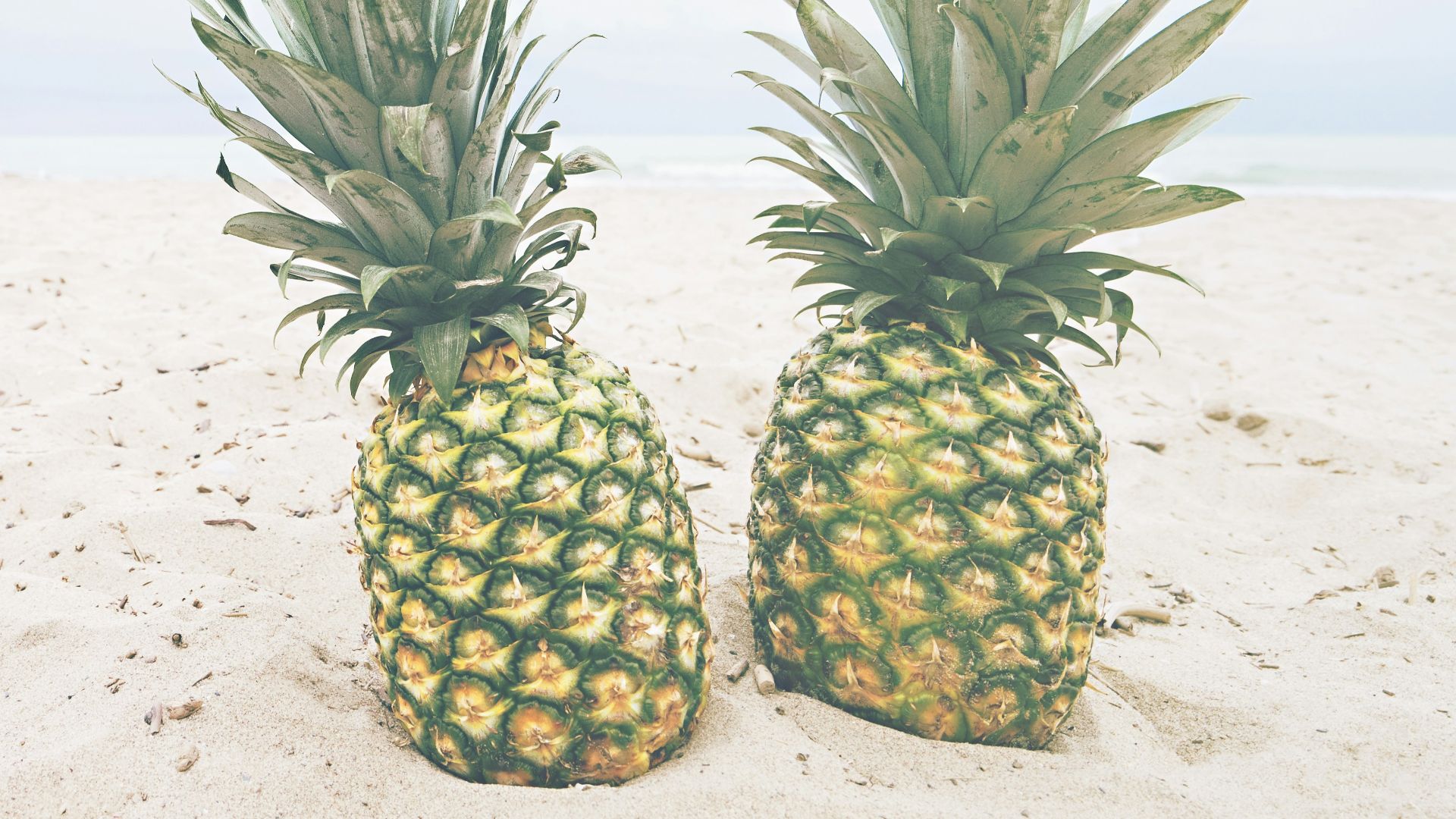 two pineapple fruits on sands