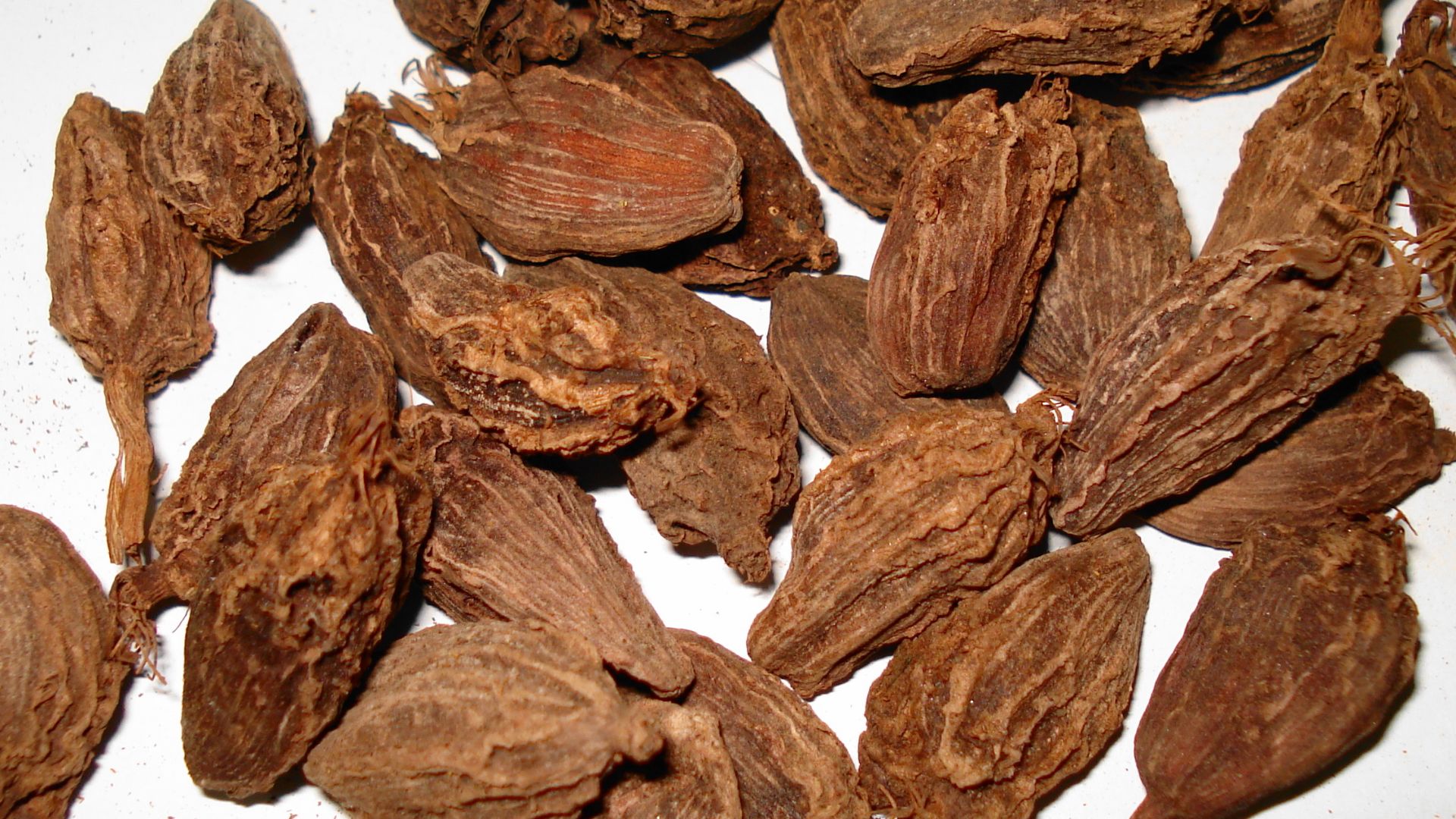 File:Cardamom Large.JPG