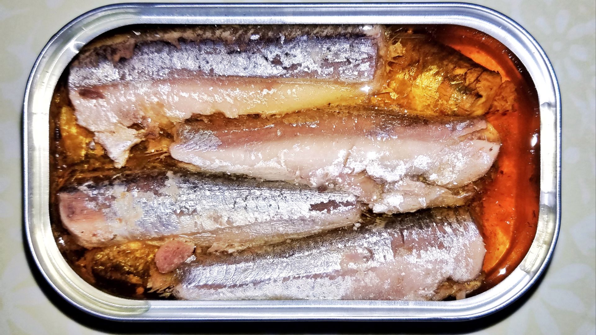 File:Anchovies in can - Massachusetts.jpg