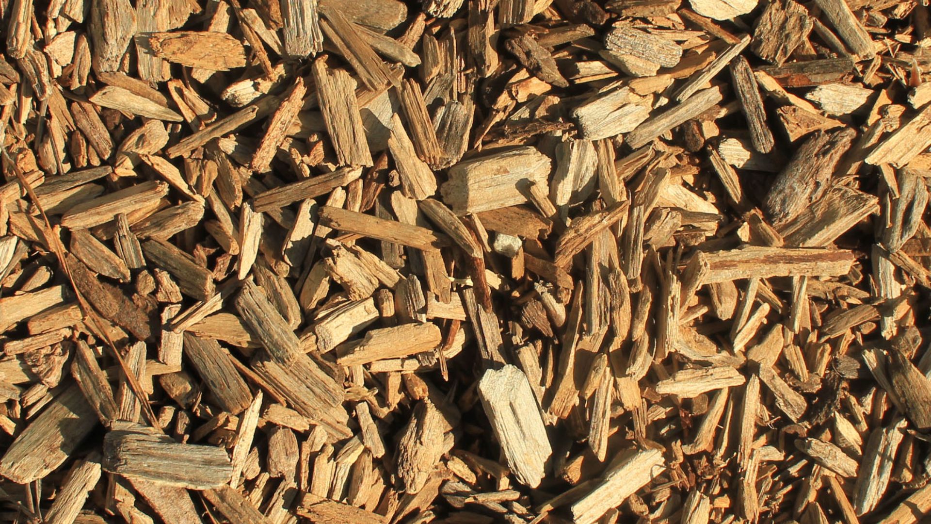 File:Gfp-wood-chips.jpg