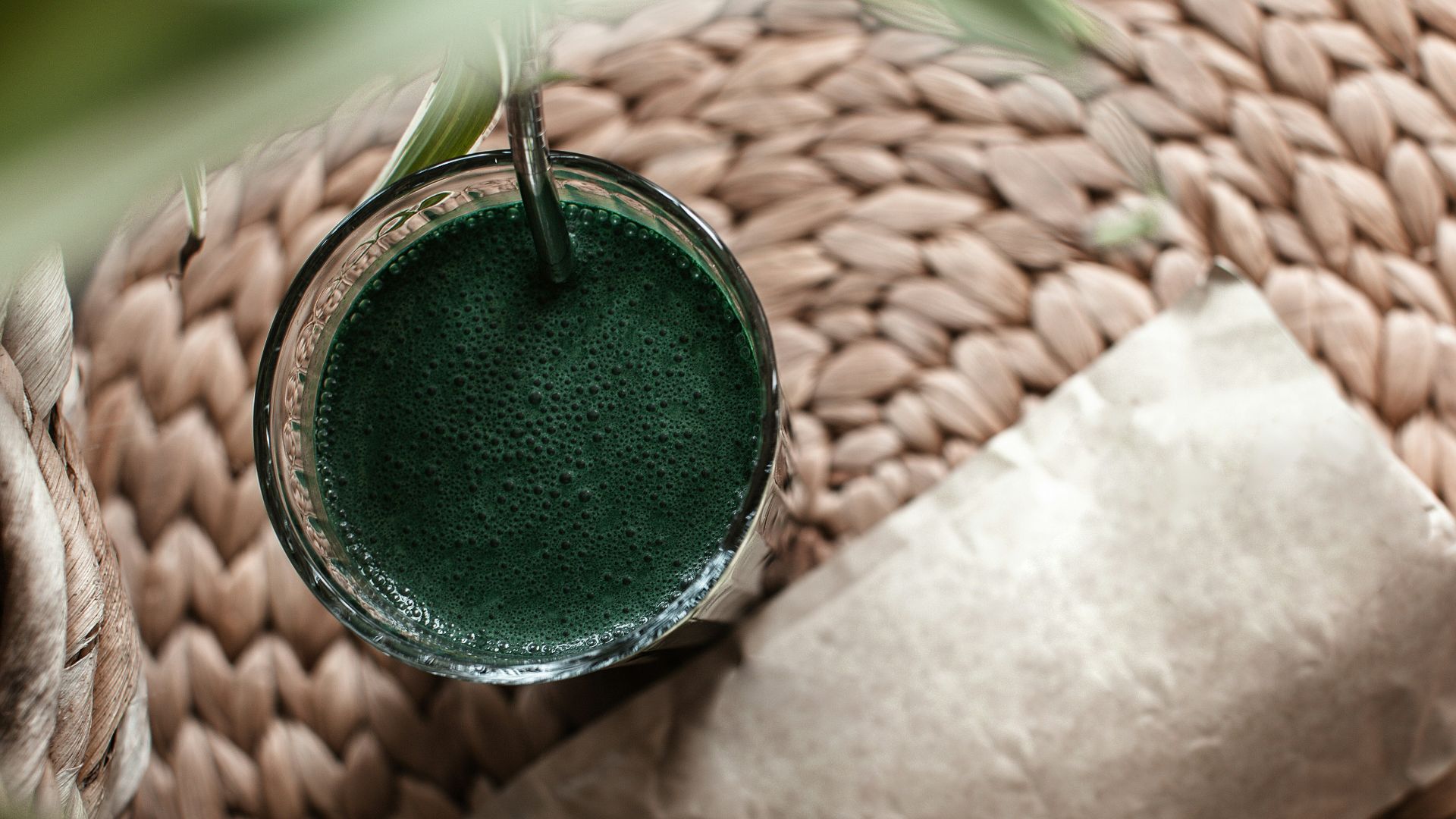 a bird nest with a green egg