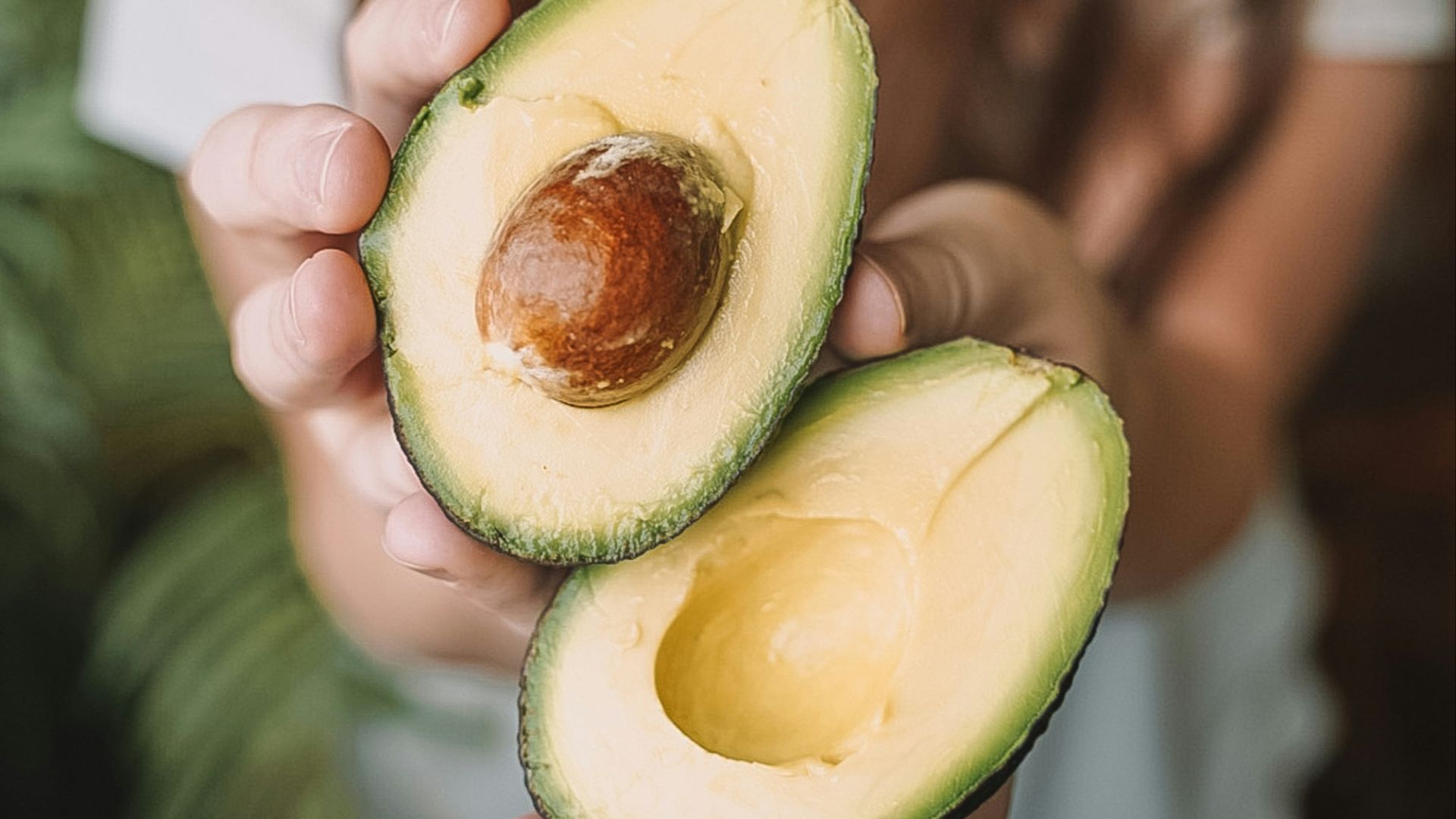 sliced avocado fruit on persons hand