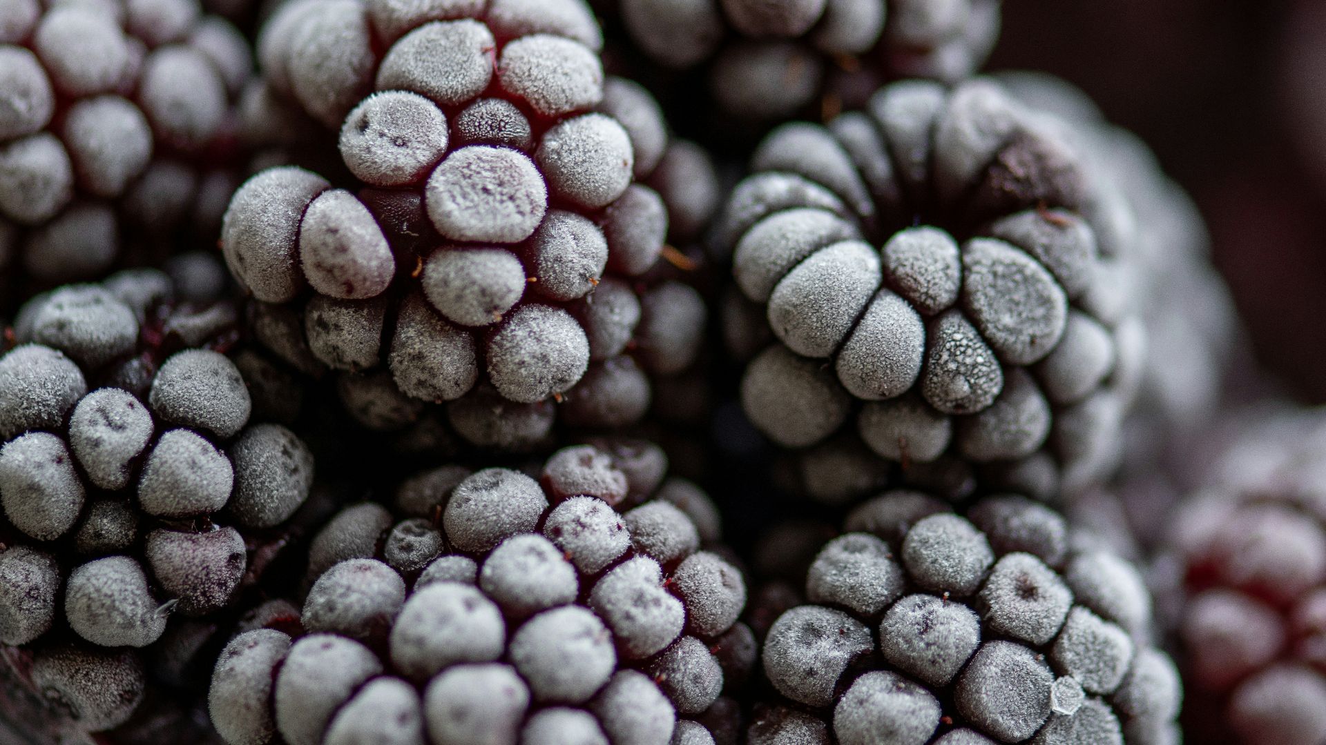 black and white round fruits