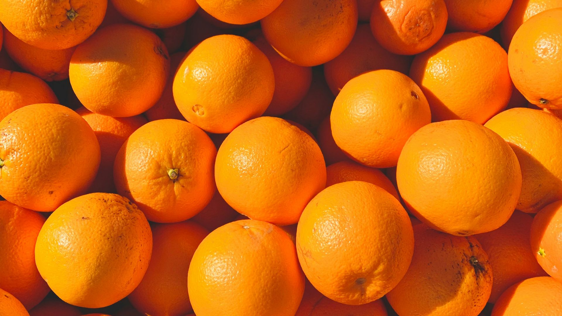 orange fruits on white ceramic plate