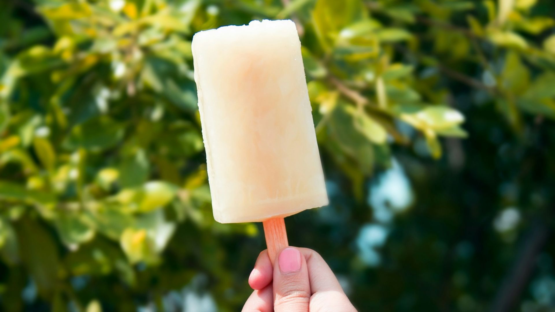 person holding popsicle
