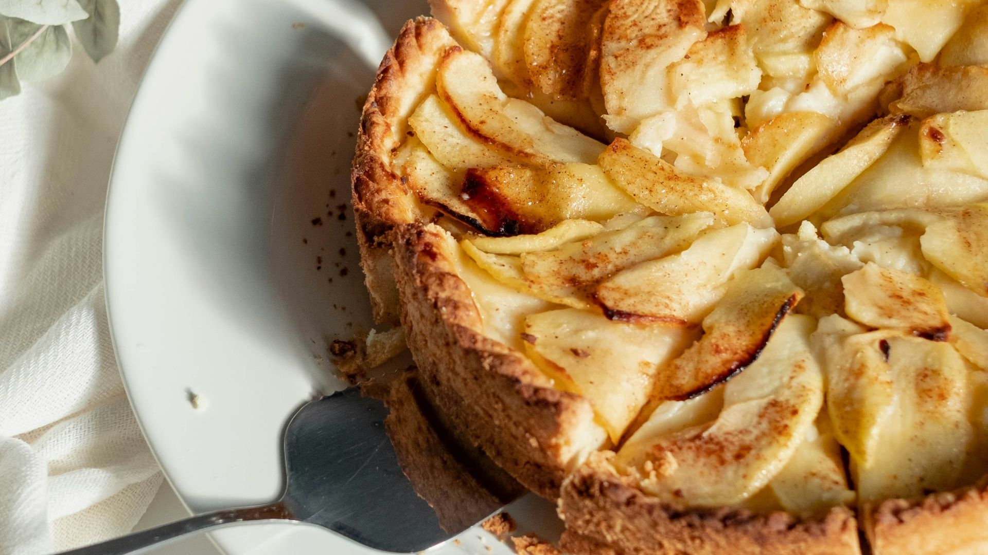 brown desert on white ceramic plate