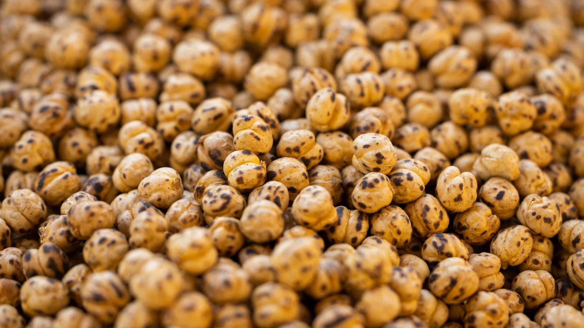 a close up of a bunch of brown and black speckles
