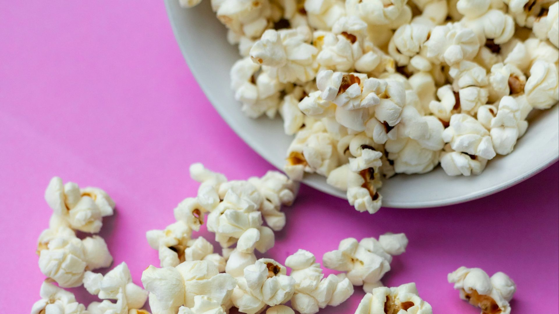 white and pink flower petals on pink surface